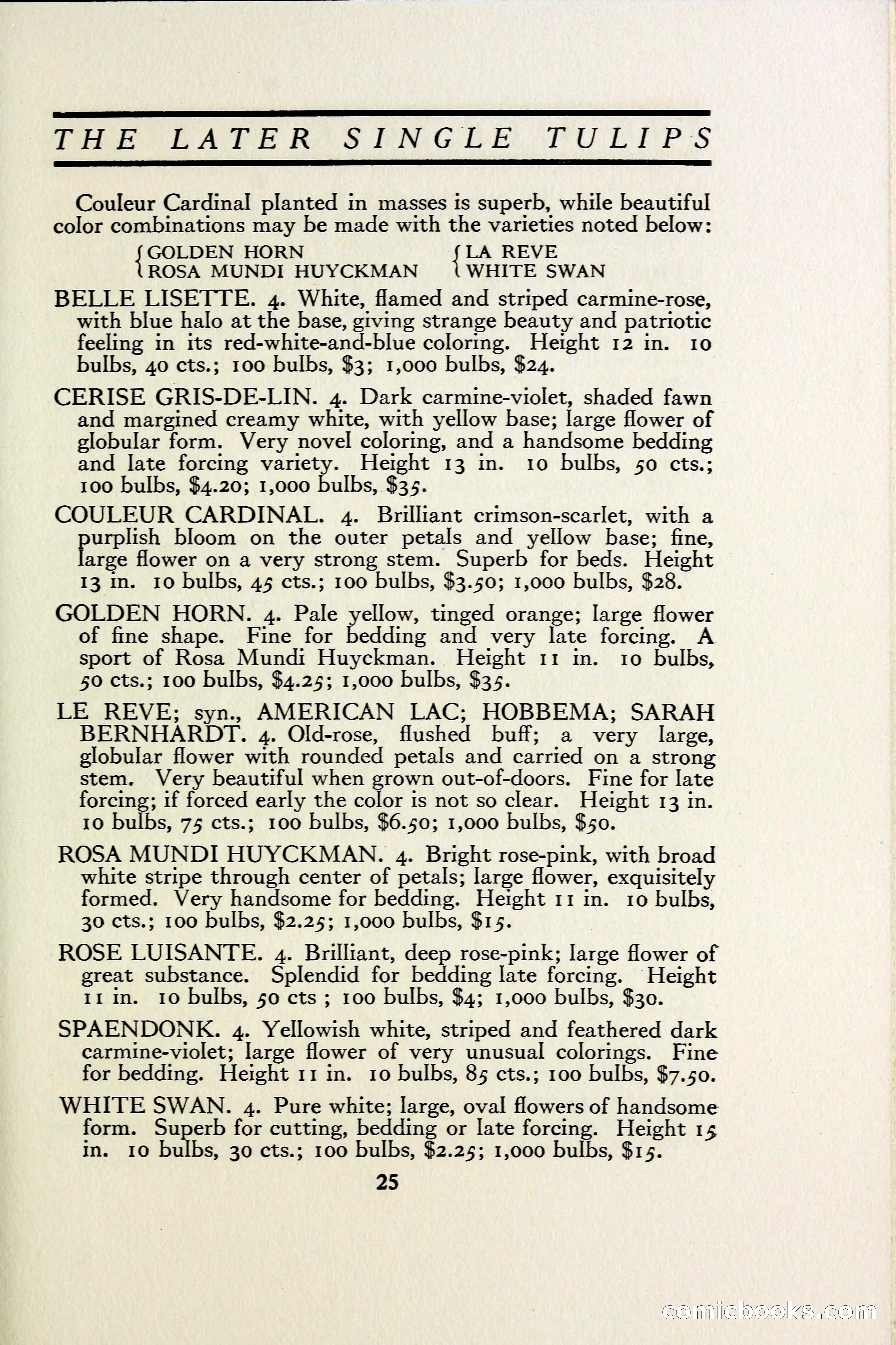 The Blue Book of Bulbs — page 32 of 97