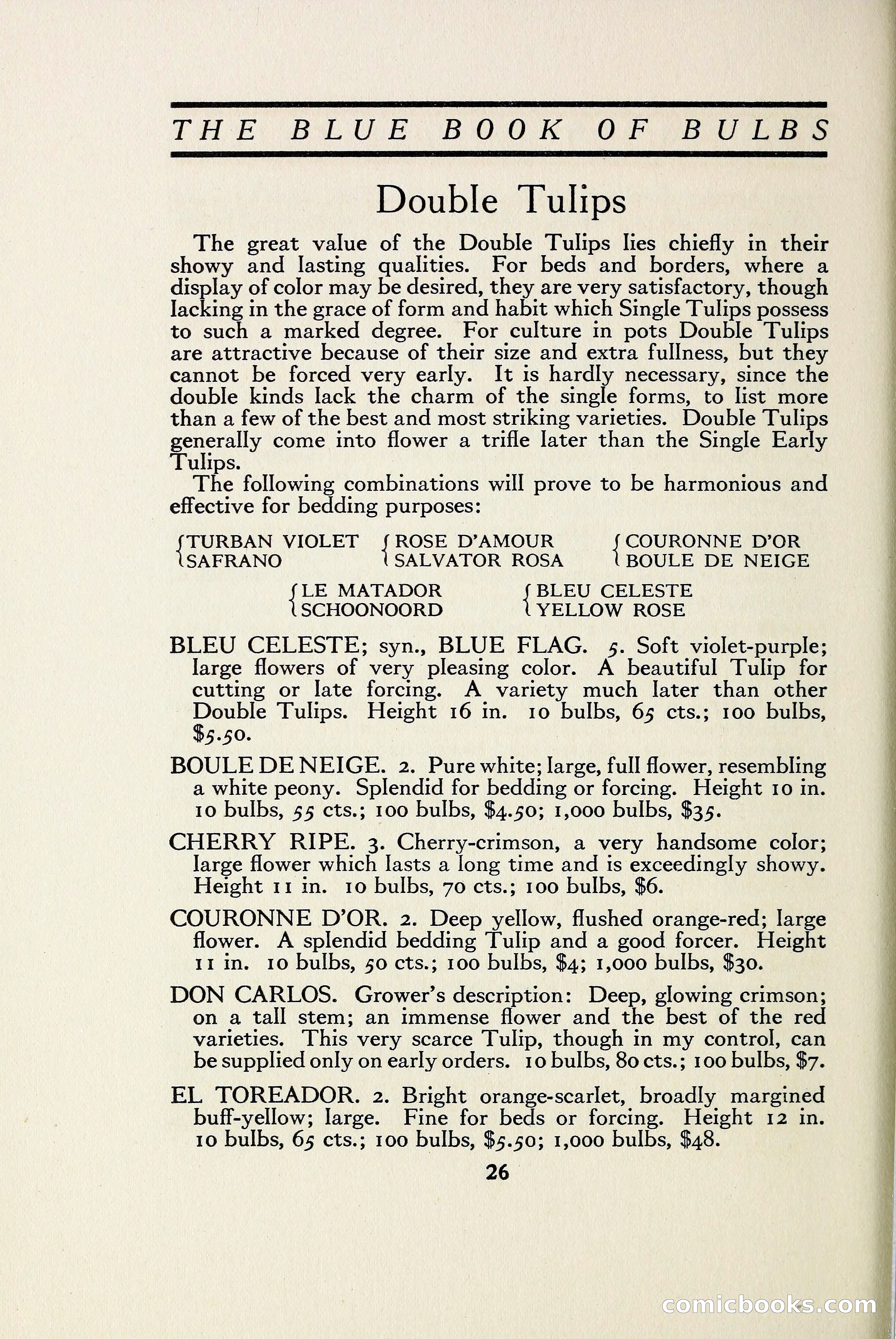 The Blue Book of Bulbs — page 33 of 97