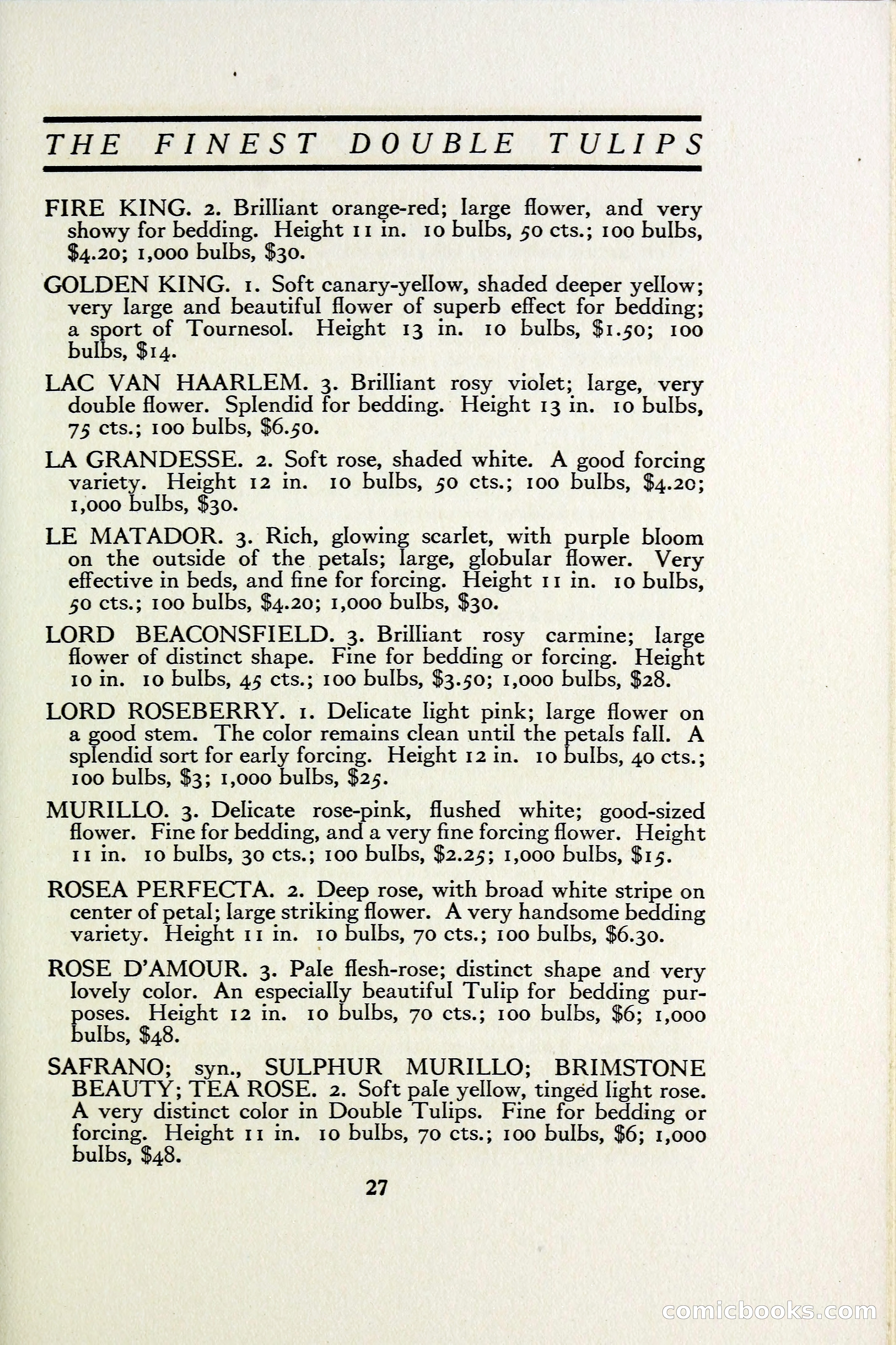 The Blue Book of Bulbs — page 34 of 97
