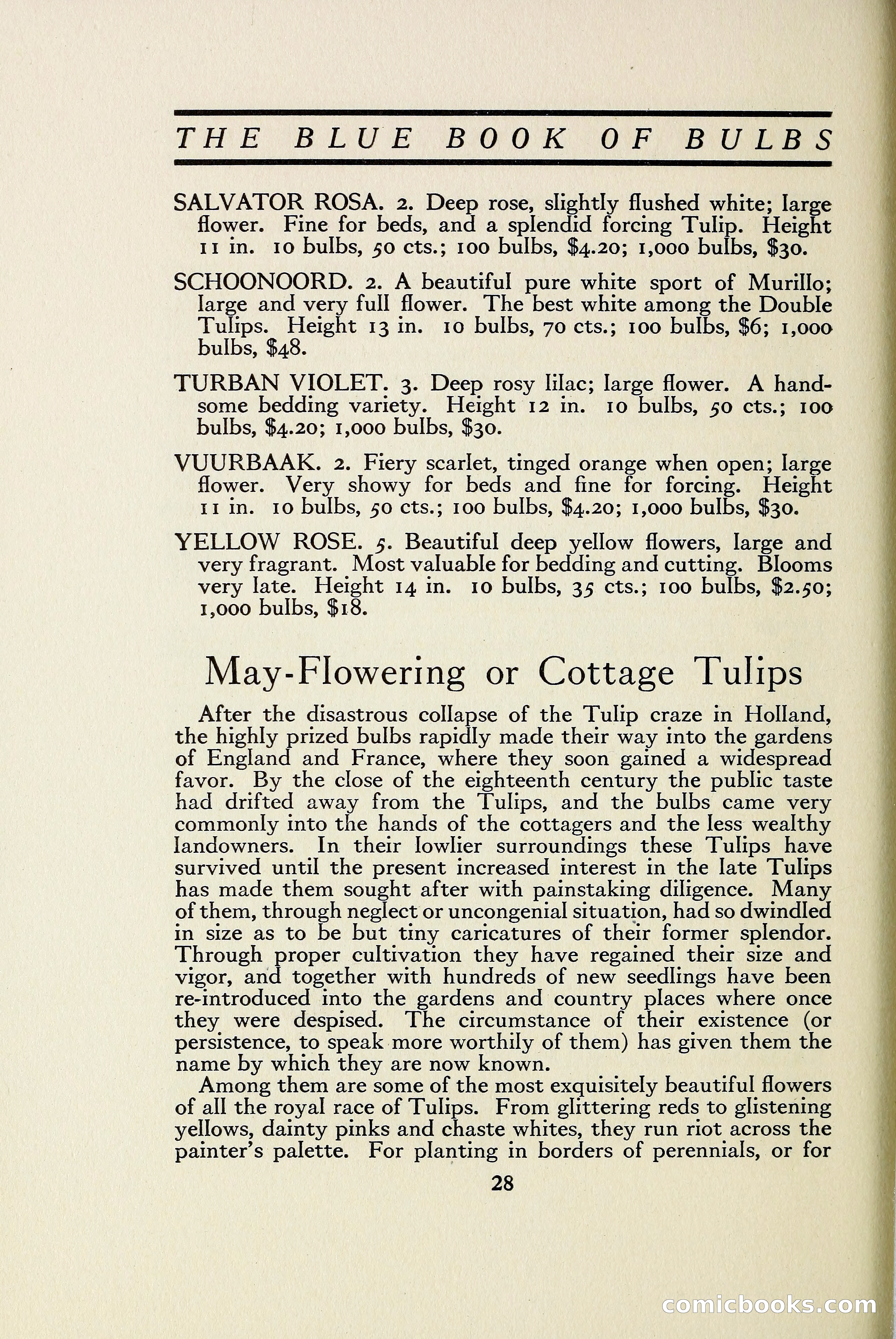 The Blue Book of Bulbs — page 35 of 97