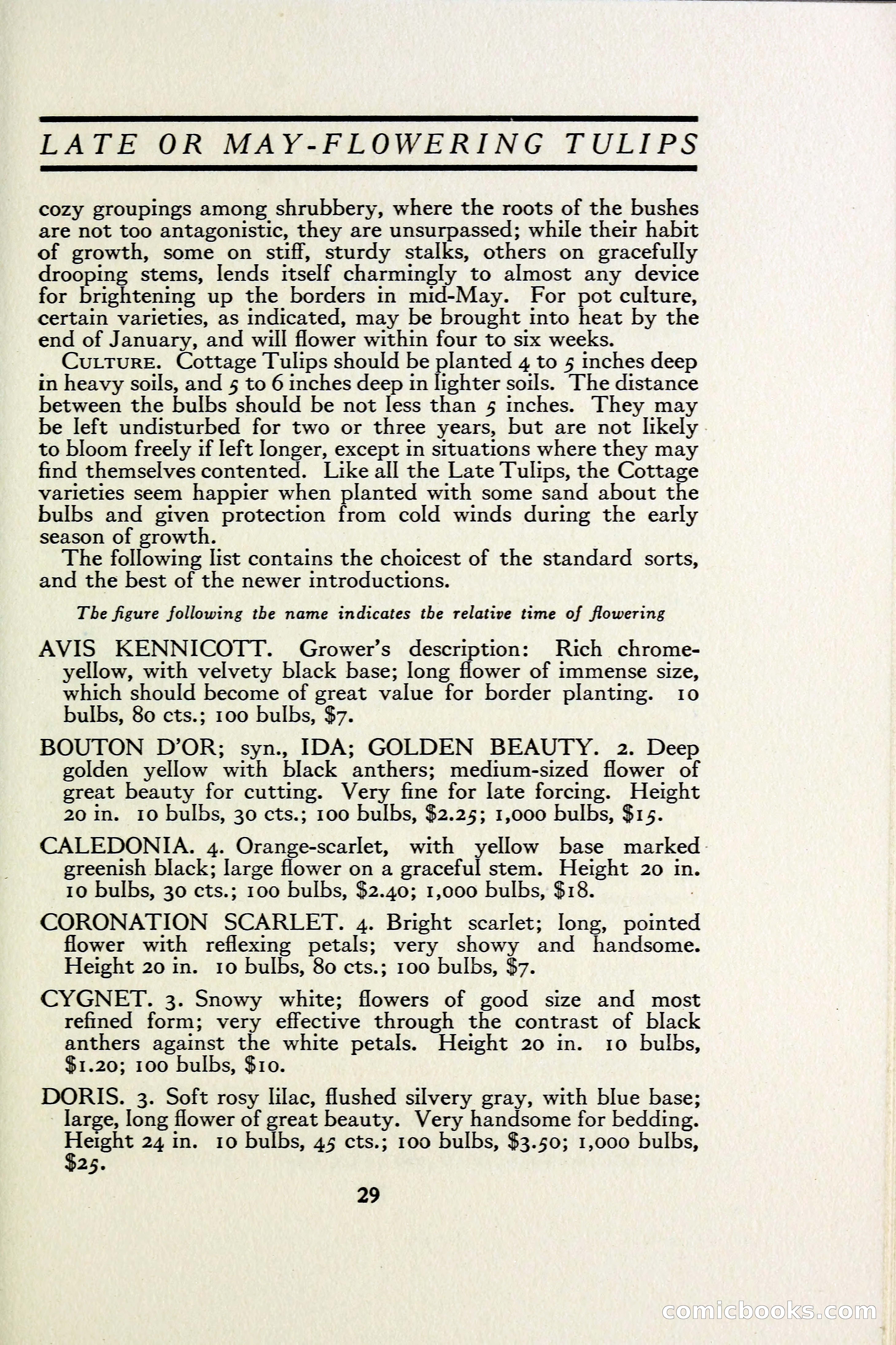 The Blue Book of Bulbs — page 36 of 97