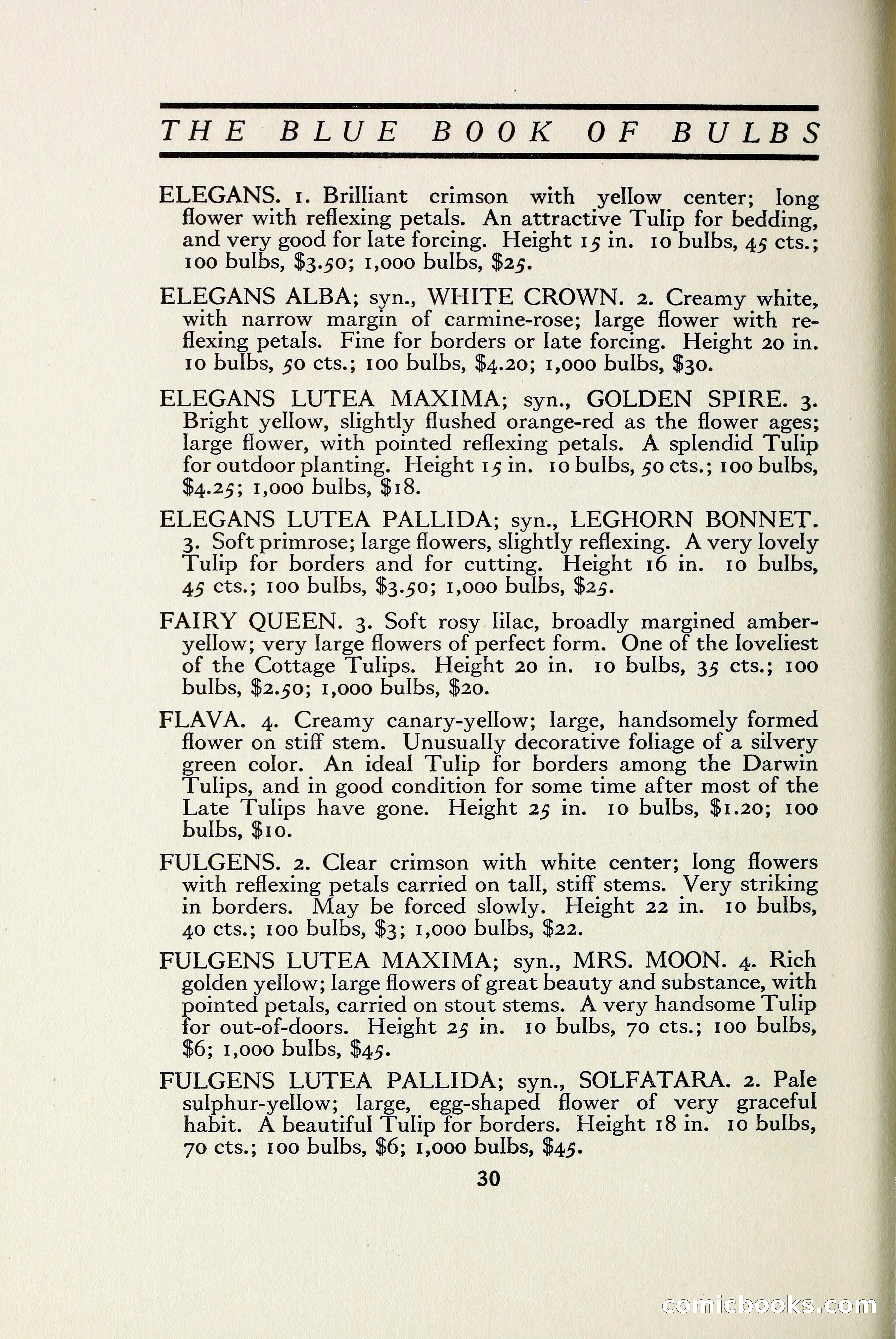 The Blue Book of Bulbs — page 37 of 97