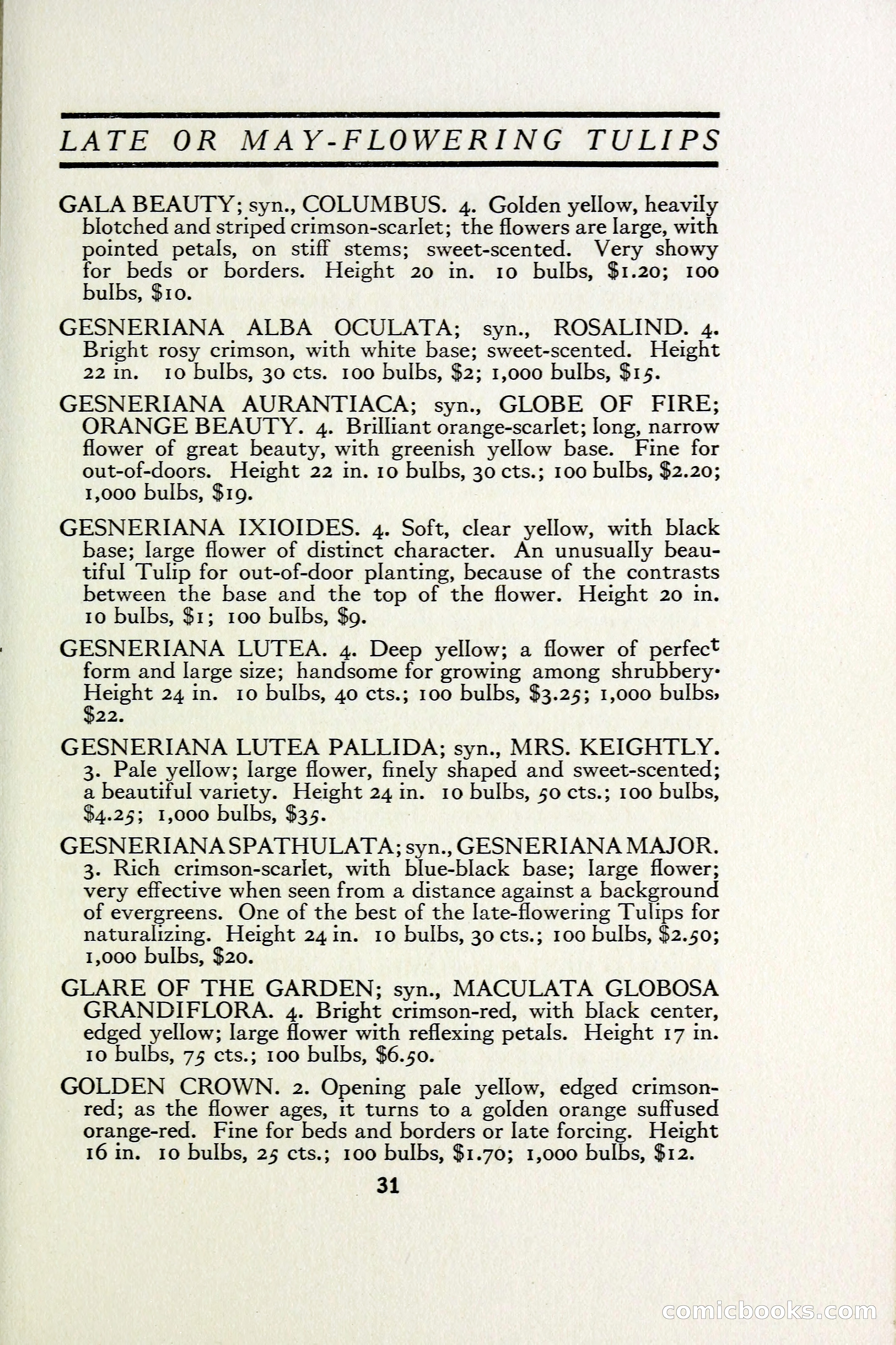 The Blue Book of Bulbs — page 38 of 97