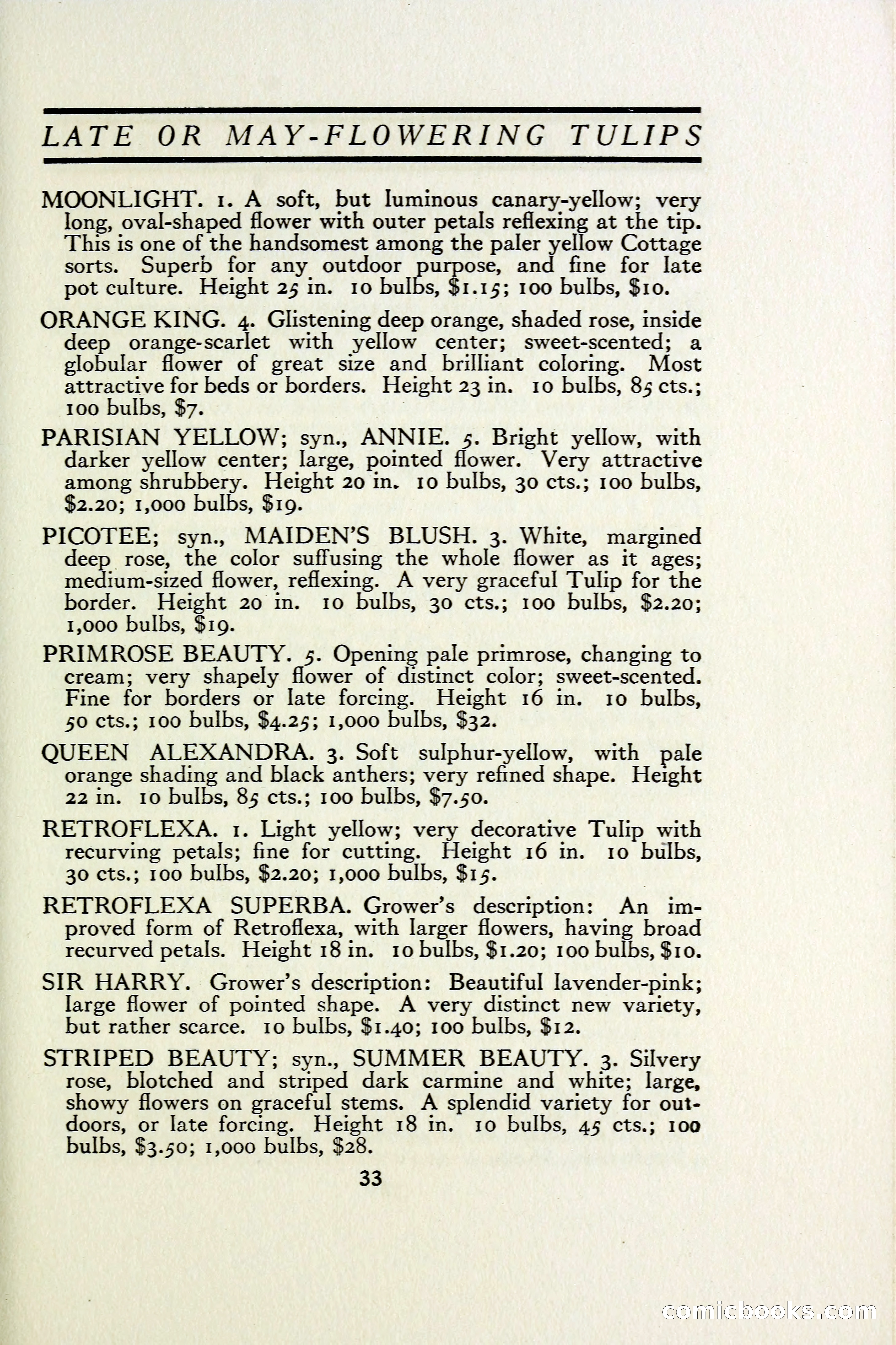 The Blue Book of Bulbs — page 40 of 97