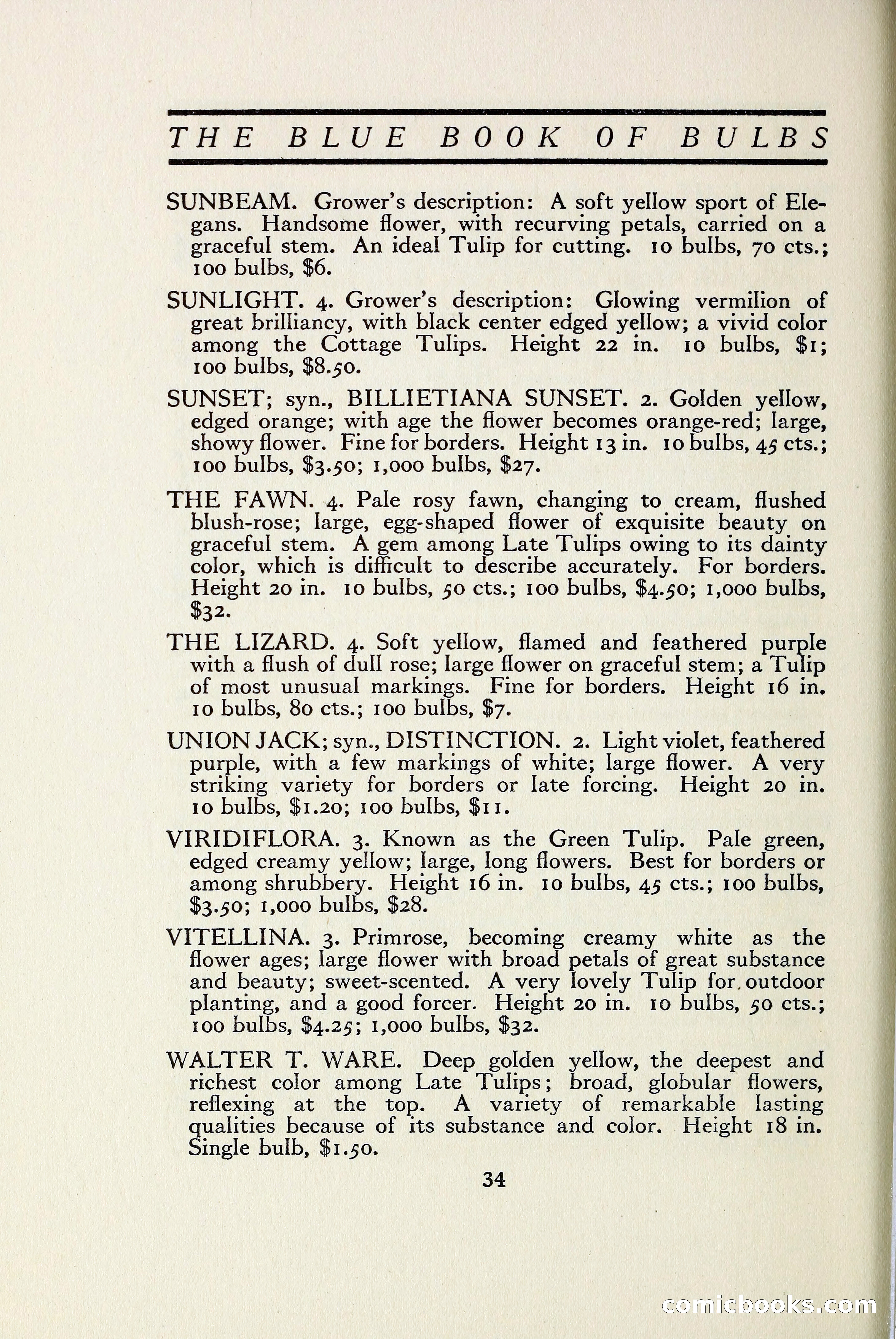The Blue Book of Bulbs — page 41 of 97