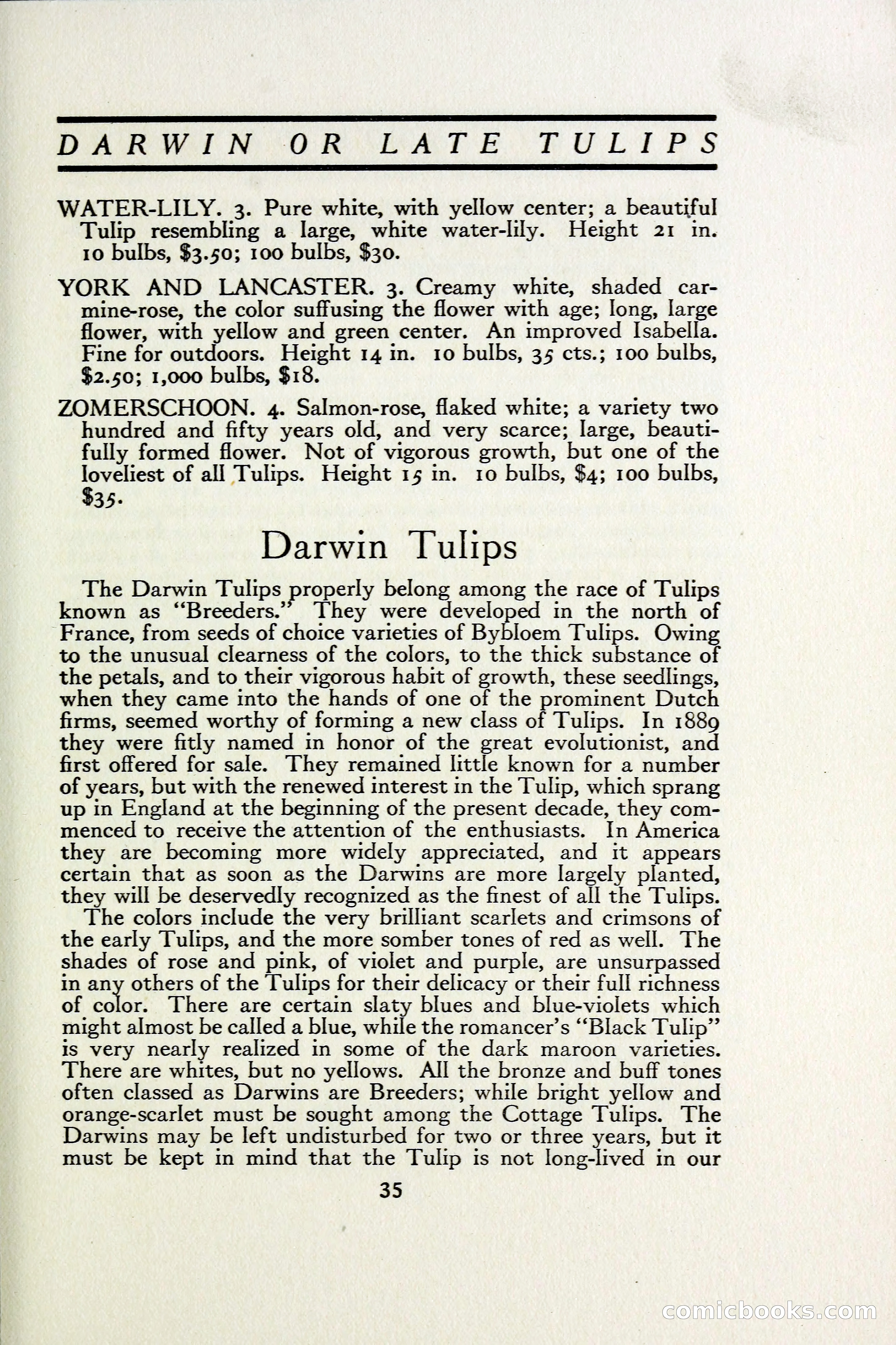 The Blue Book of Bulbs — page 42 of 97