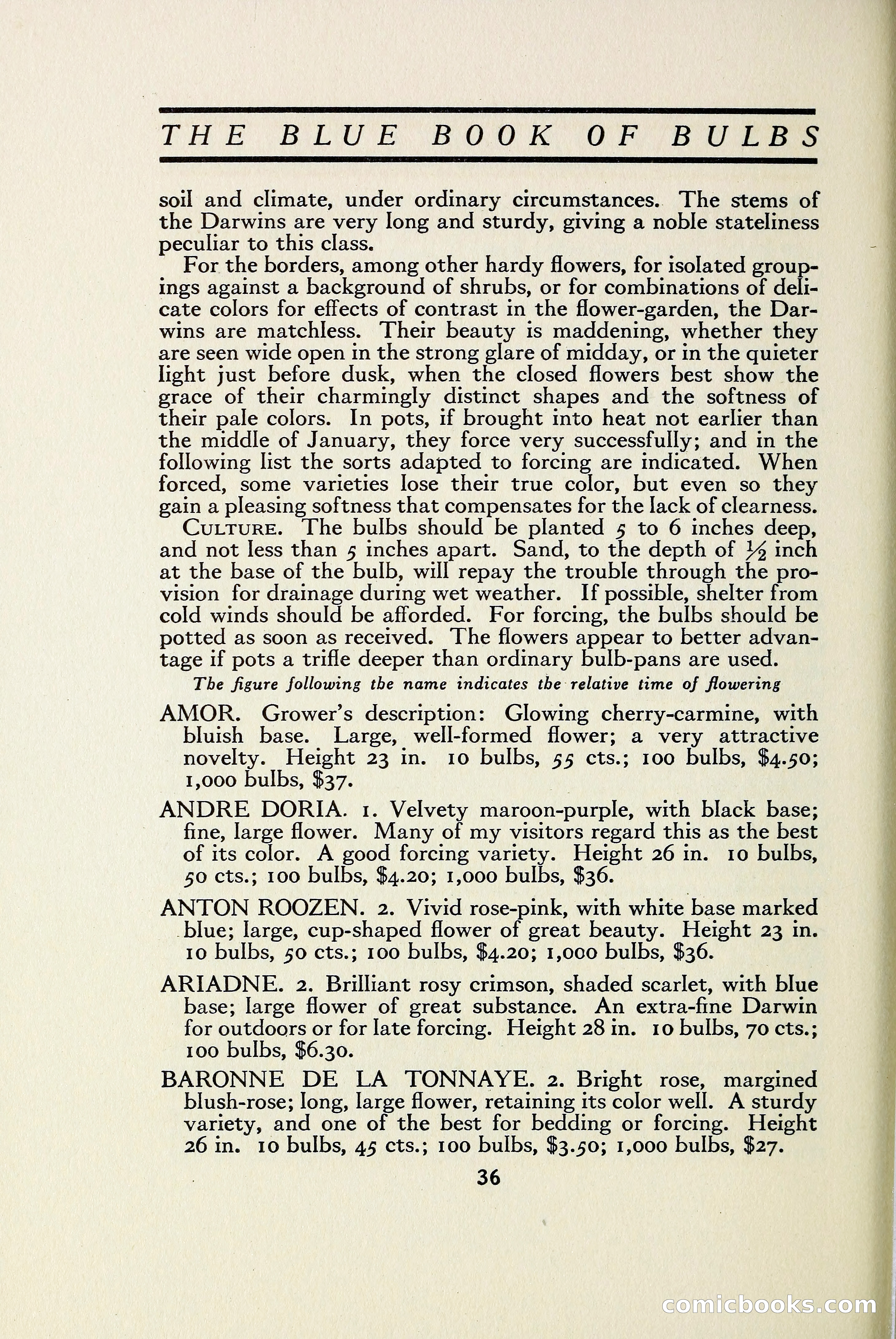 The Blue Book of Bulbs — page 43 of 97
