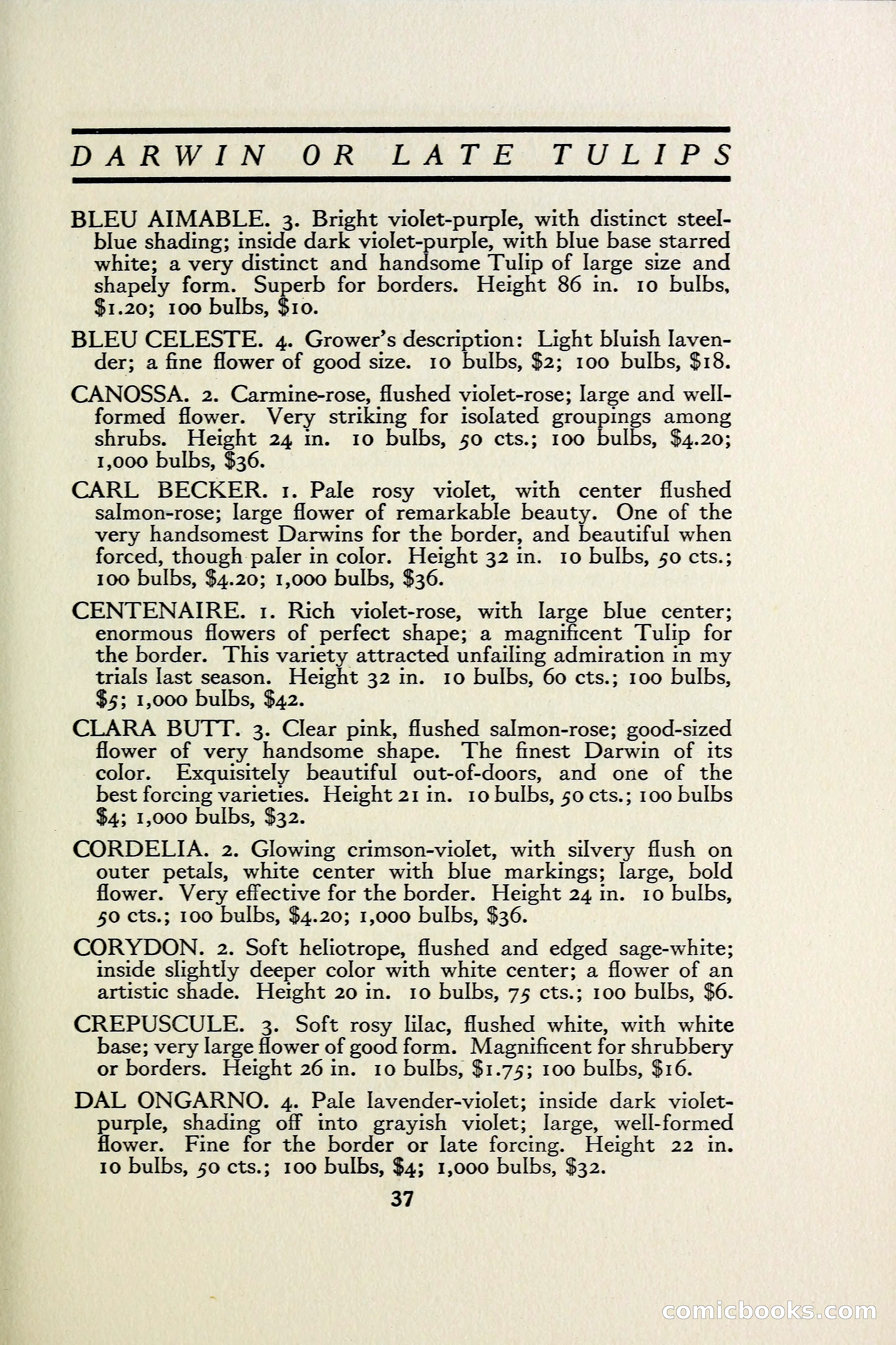 The Blue Book of Bulbs — page 44 of 97