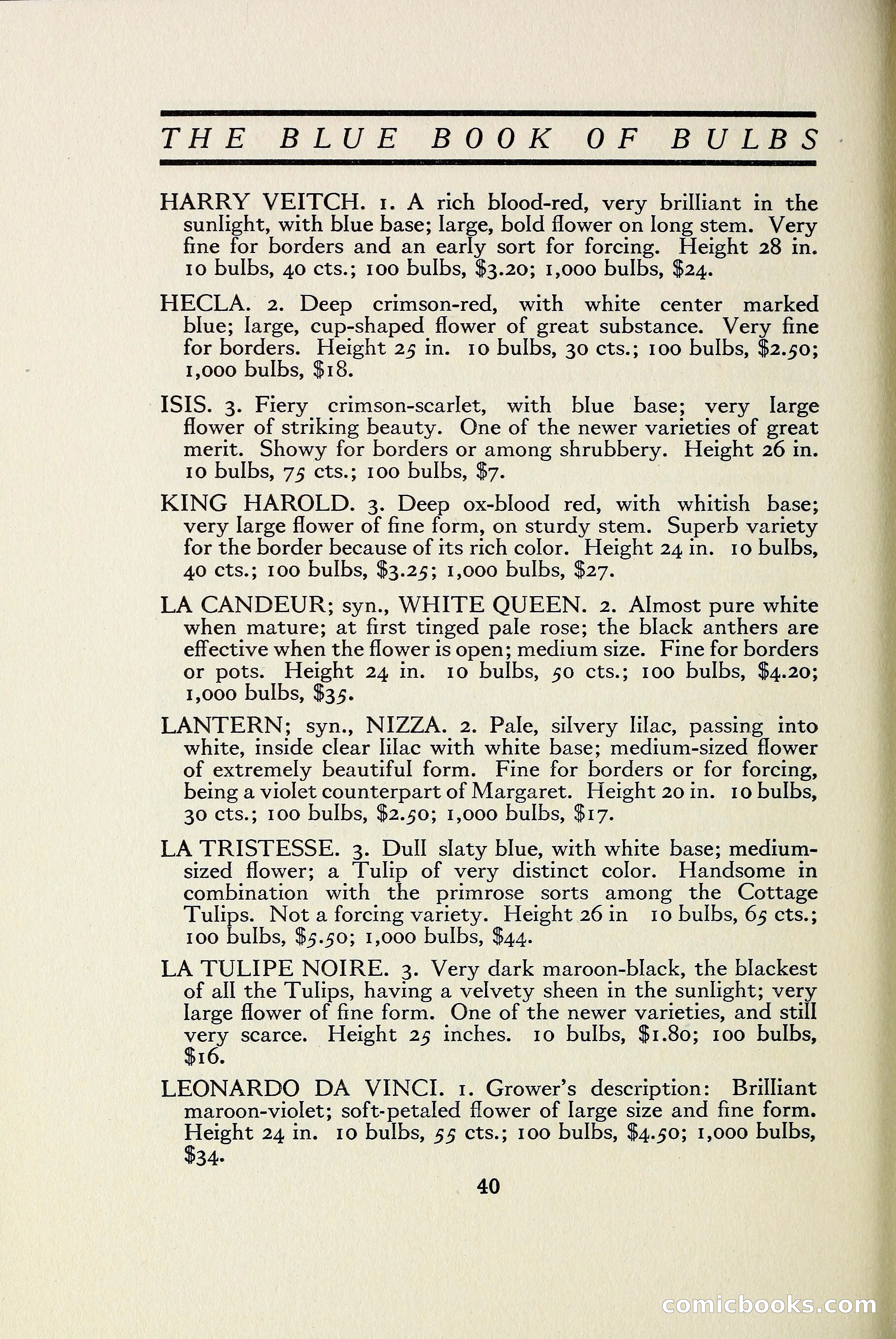 The Blue Book of Bulbs — page 47 of 97