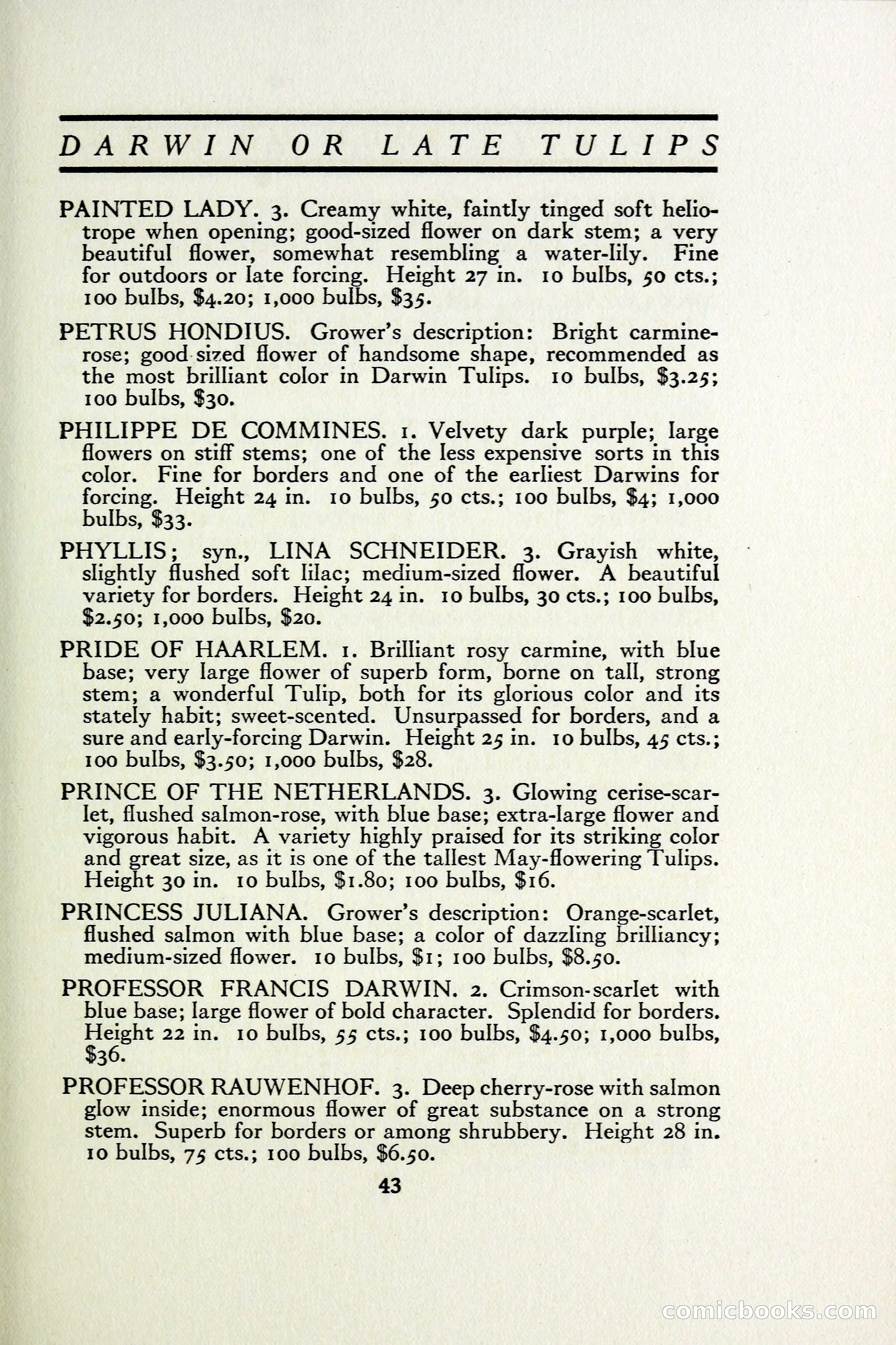 The Blue Book of Bulbs — page 50 of 97
