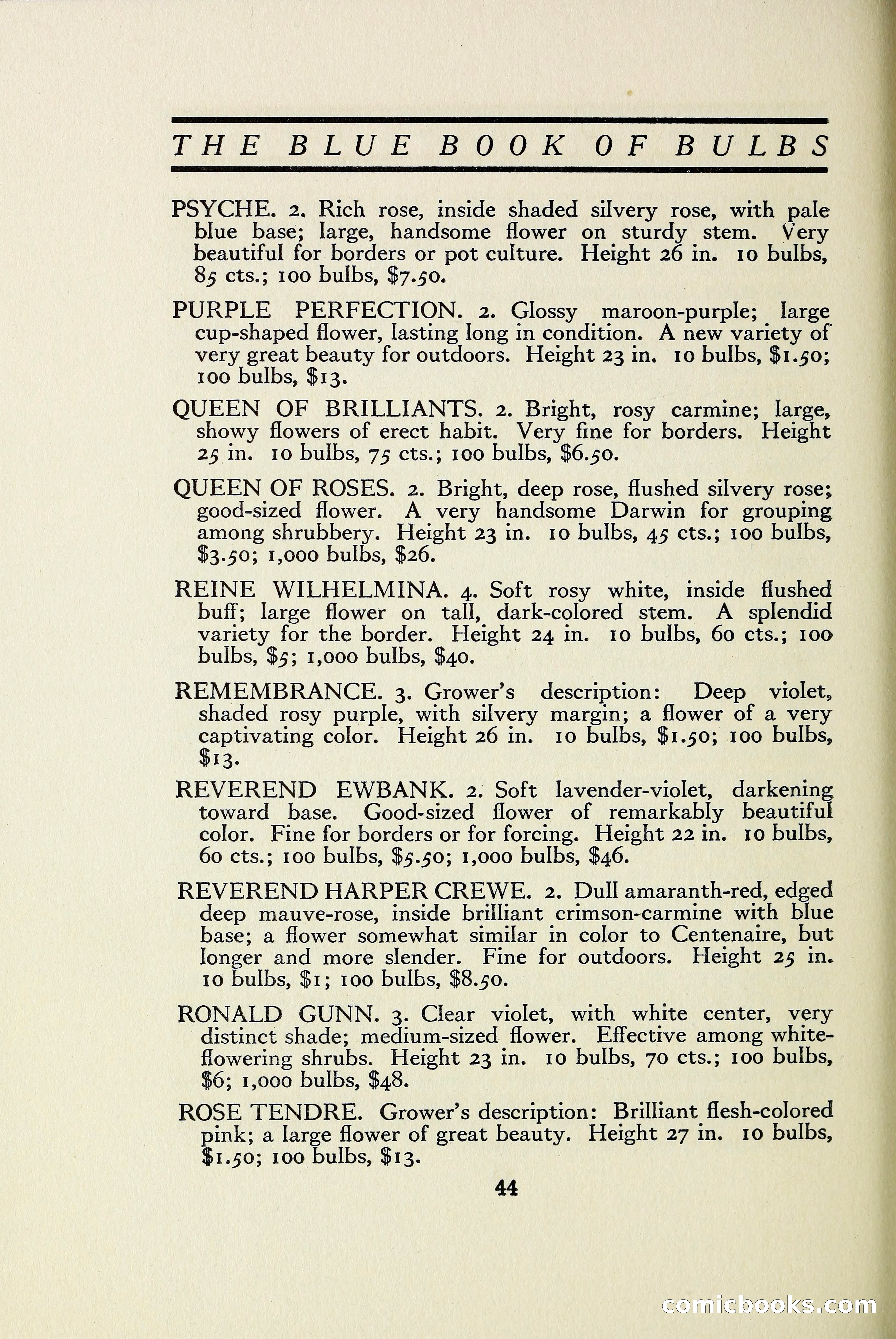 The Blue Book of Bulbs — page 51 of 97