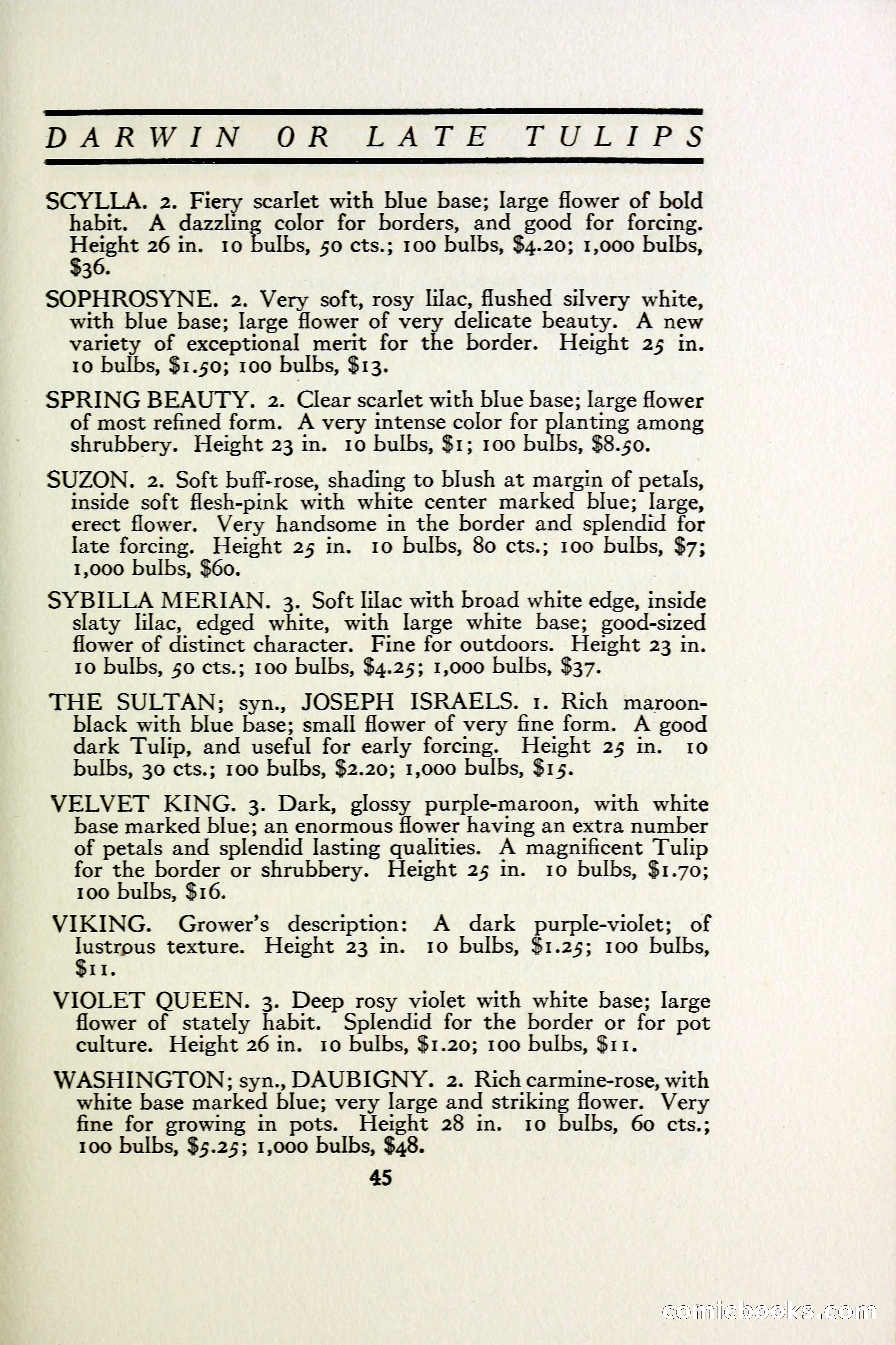 The Blue Book of Bulbs — page 52 of 97