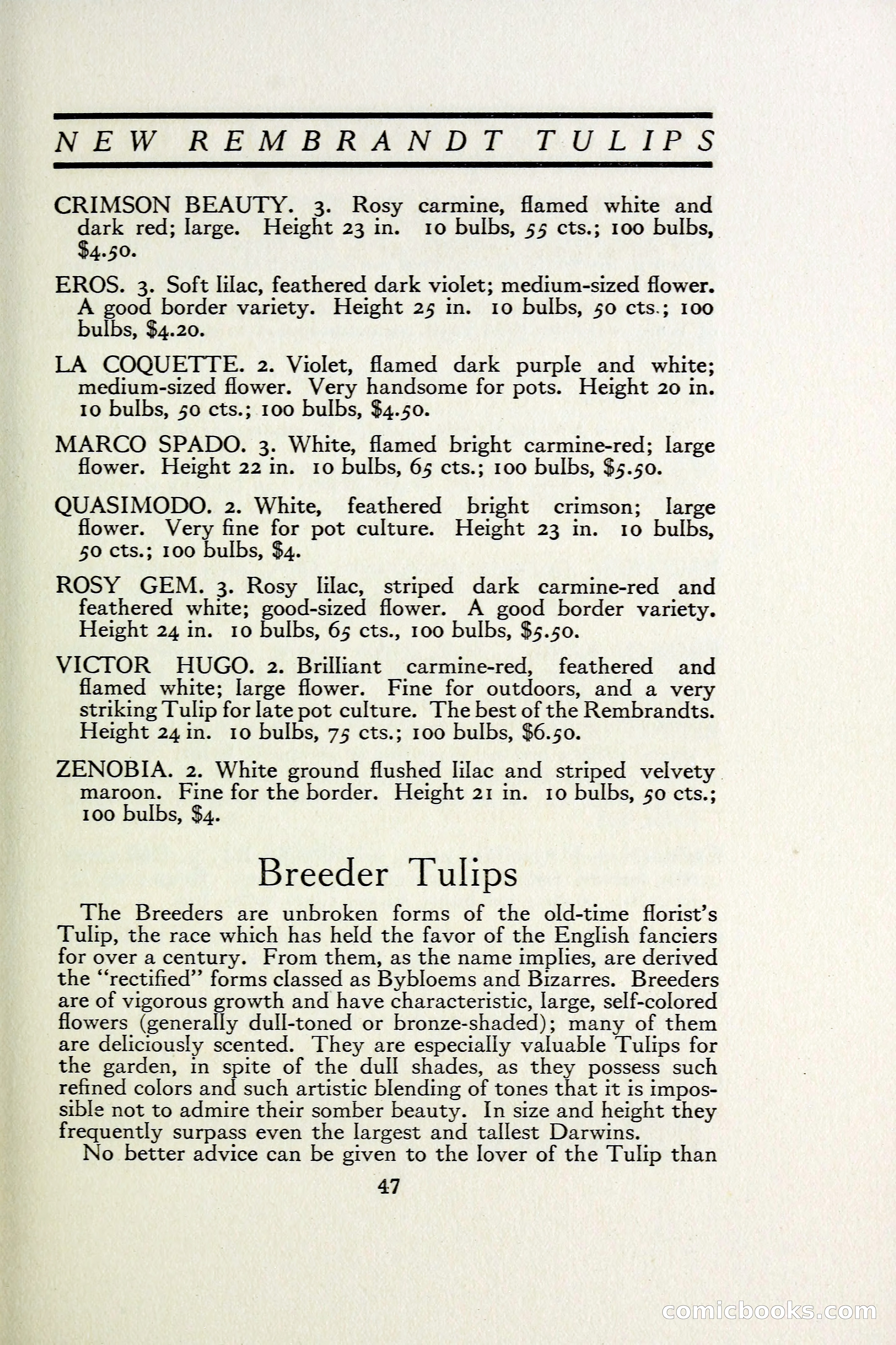The Blue Book of Bulbs — page 54 of 97