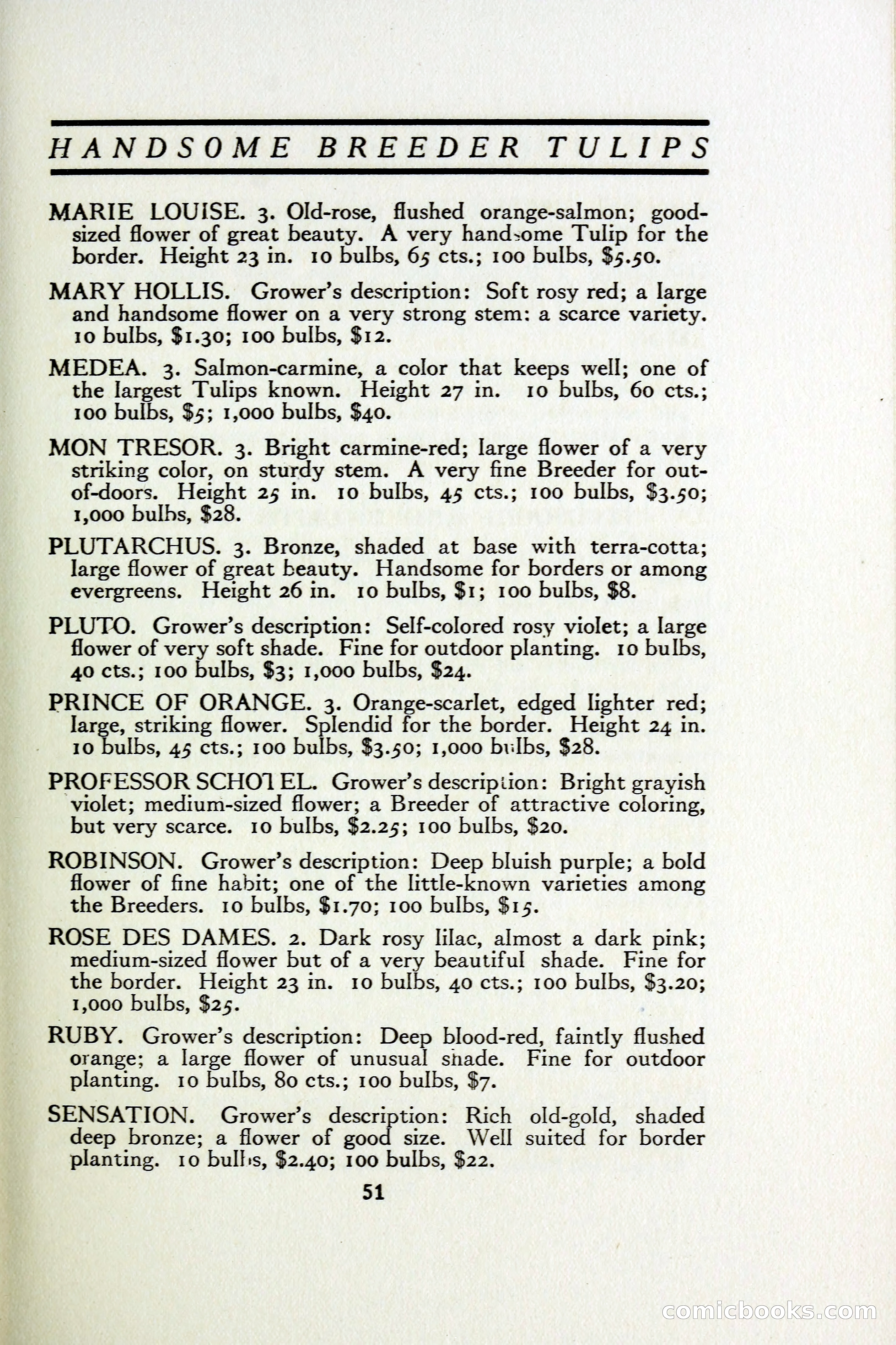 The Blue Book of Bulbs — page 58 of 97