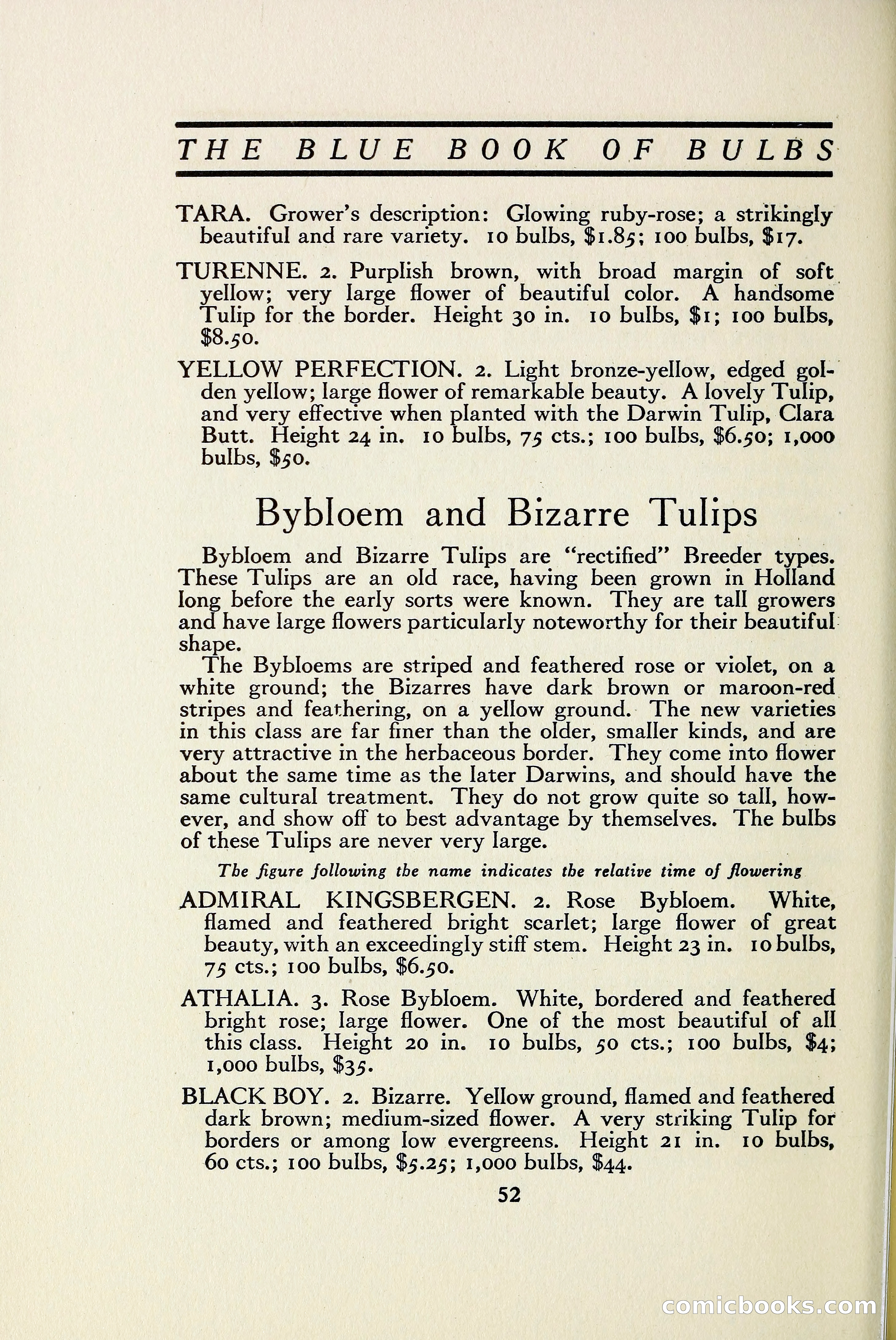 The Blue Book of Bulbs — page 59 of 97