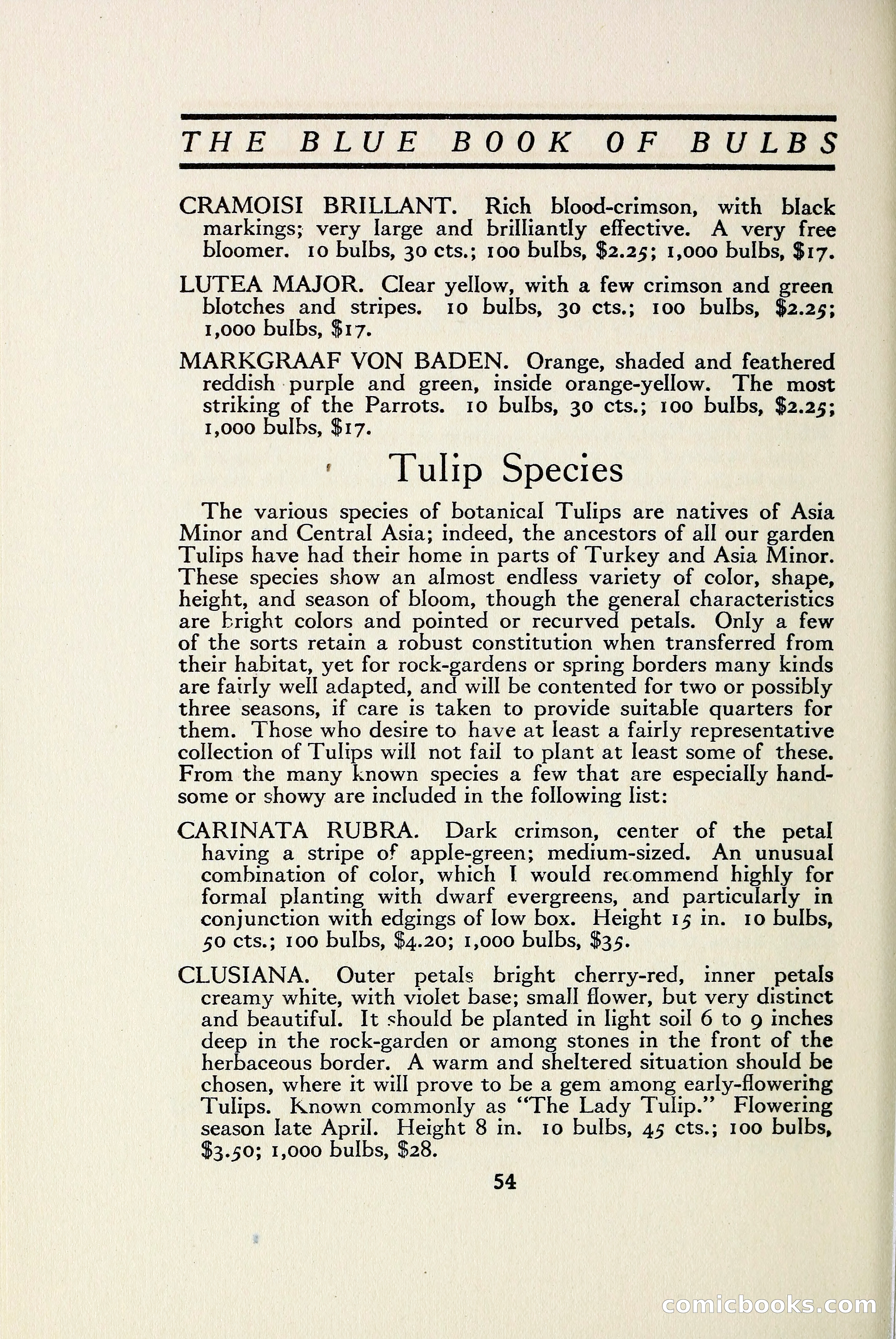 The Blue Book of Bulbs — page 61 of 97