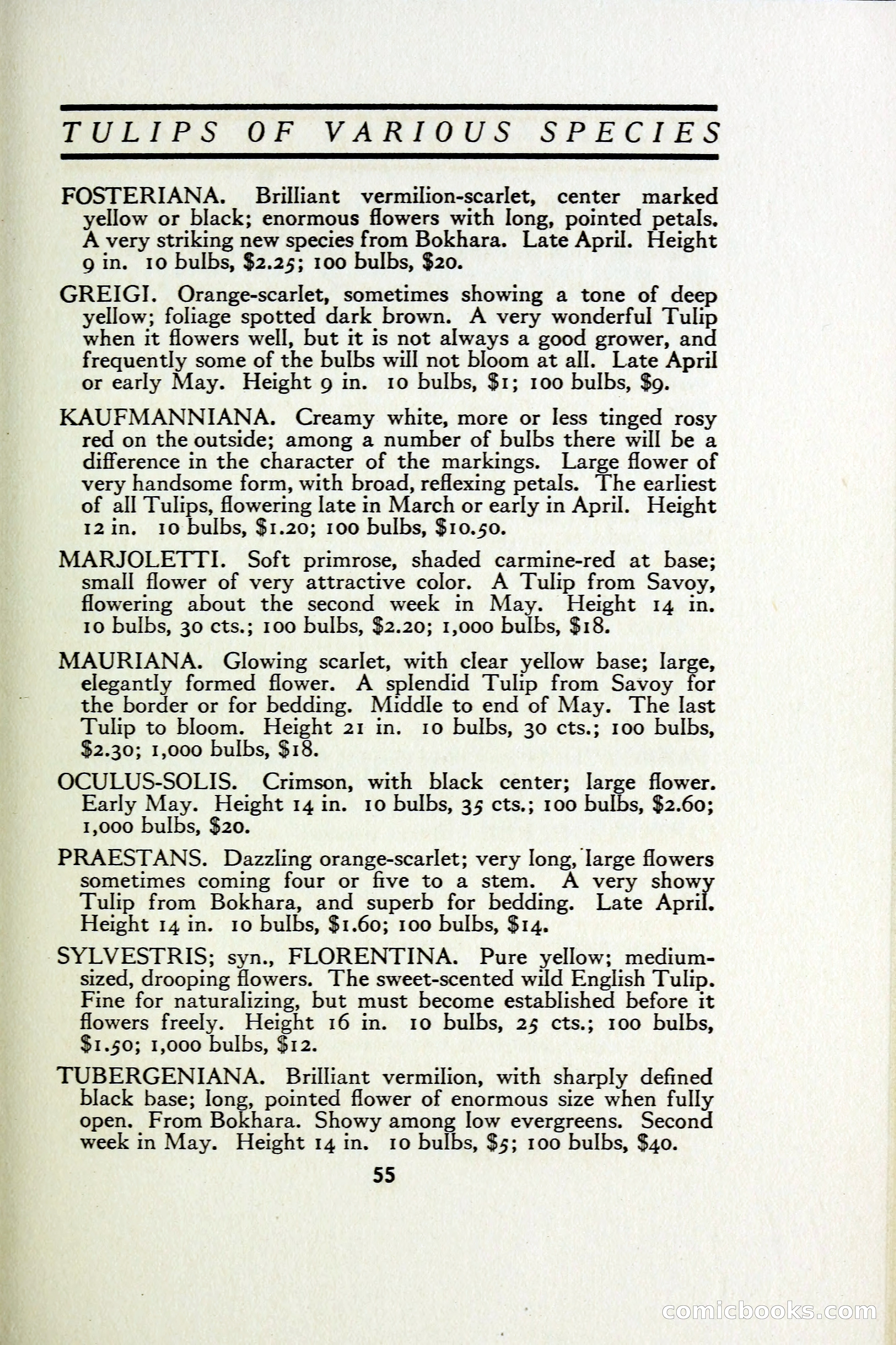 The Blue Book of Bulbs — page 62 of 97