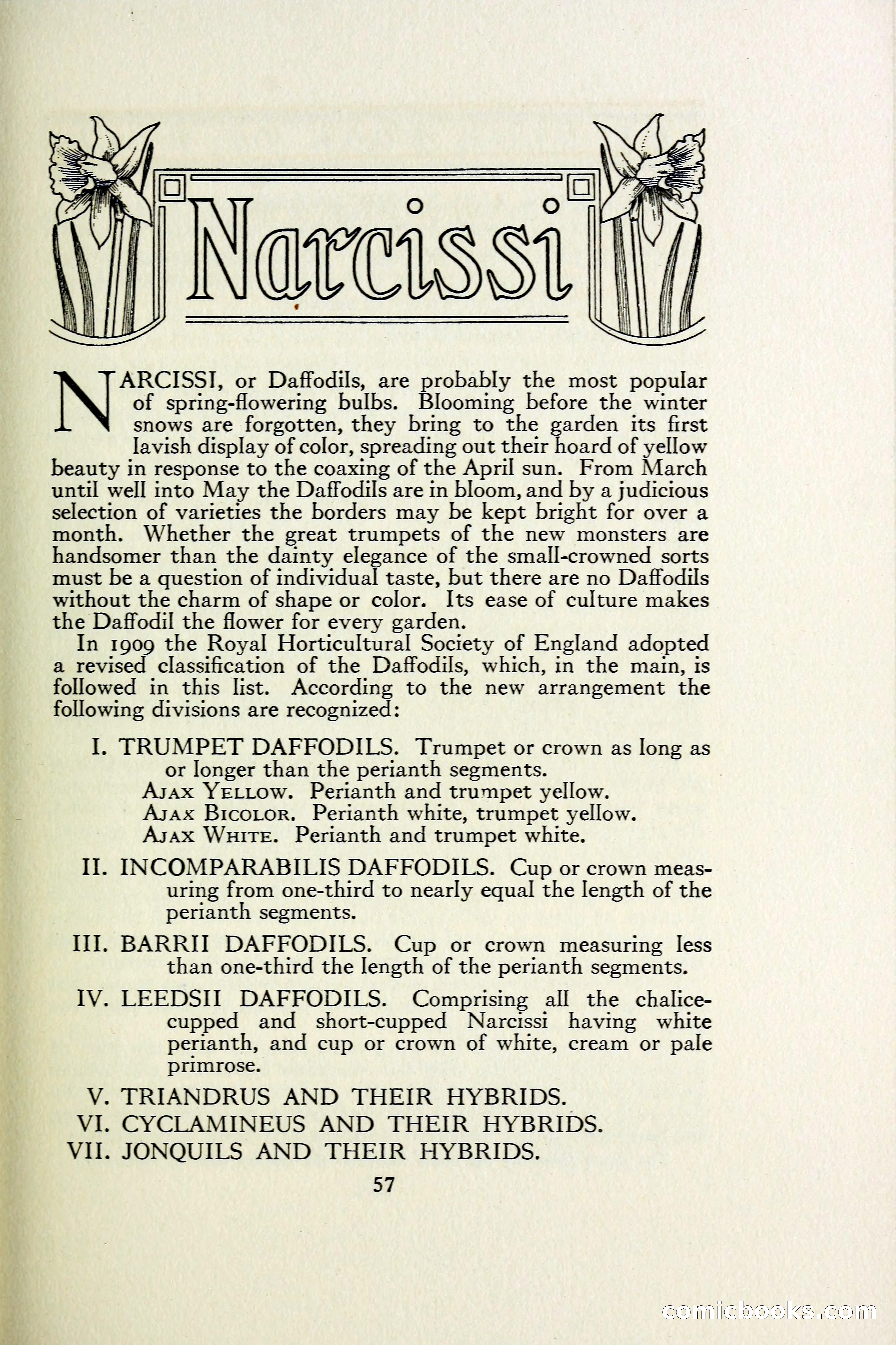 The Blue Book of Bulbs — page 64 of 97