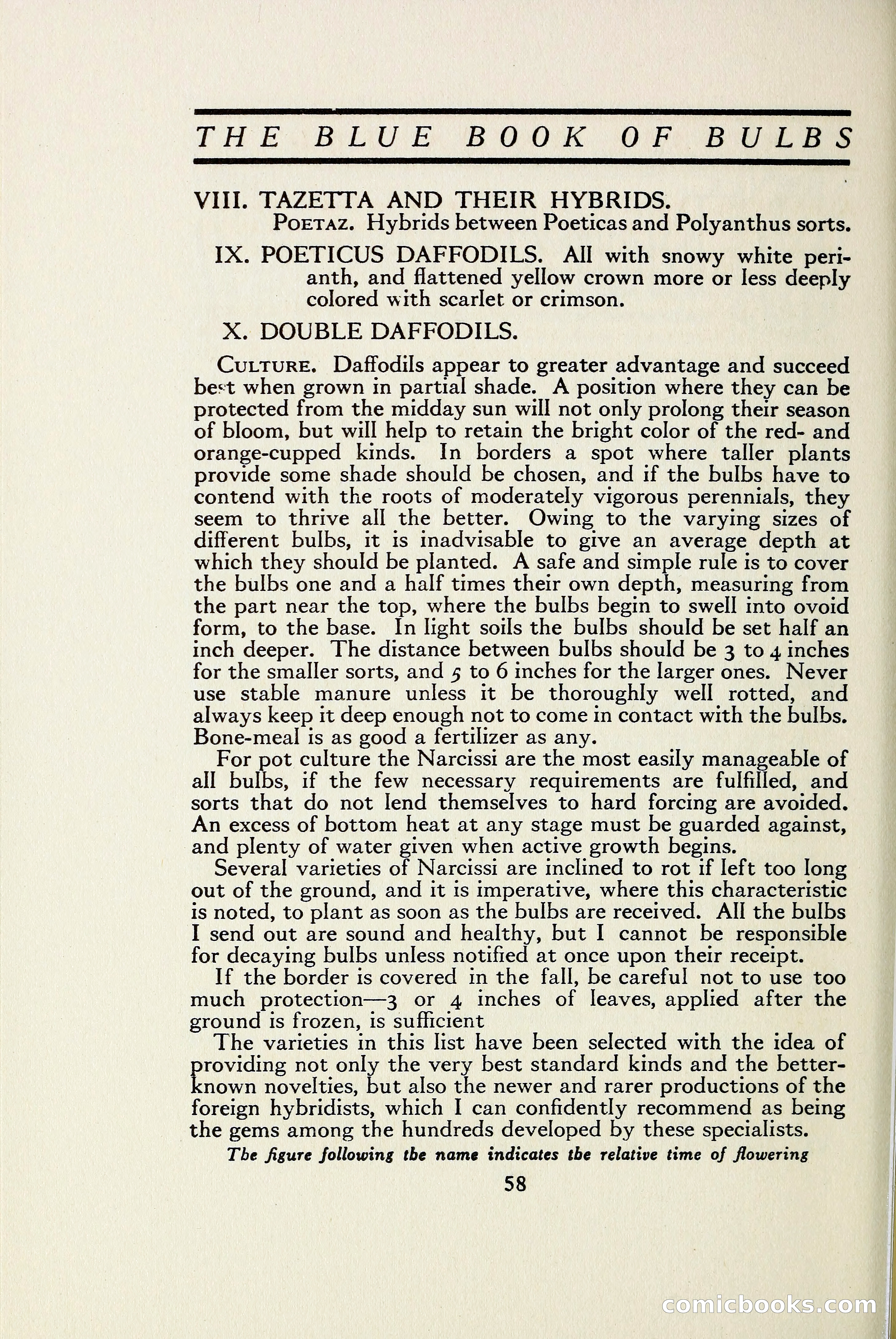 The Blue Book of Bulbs — page 65 of 97