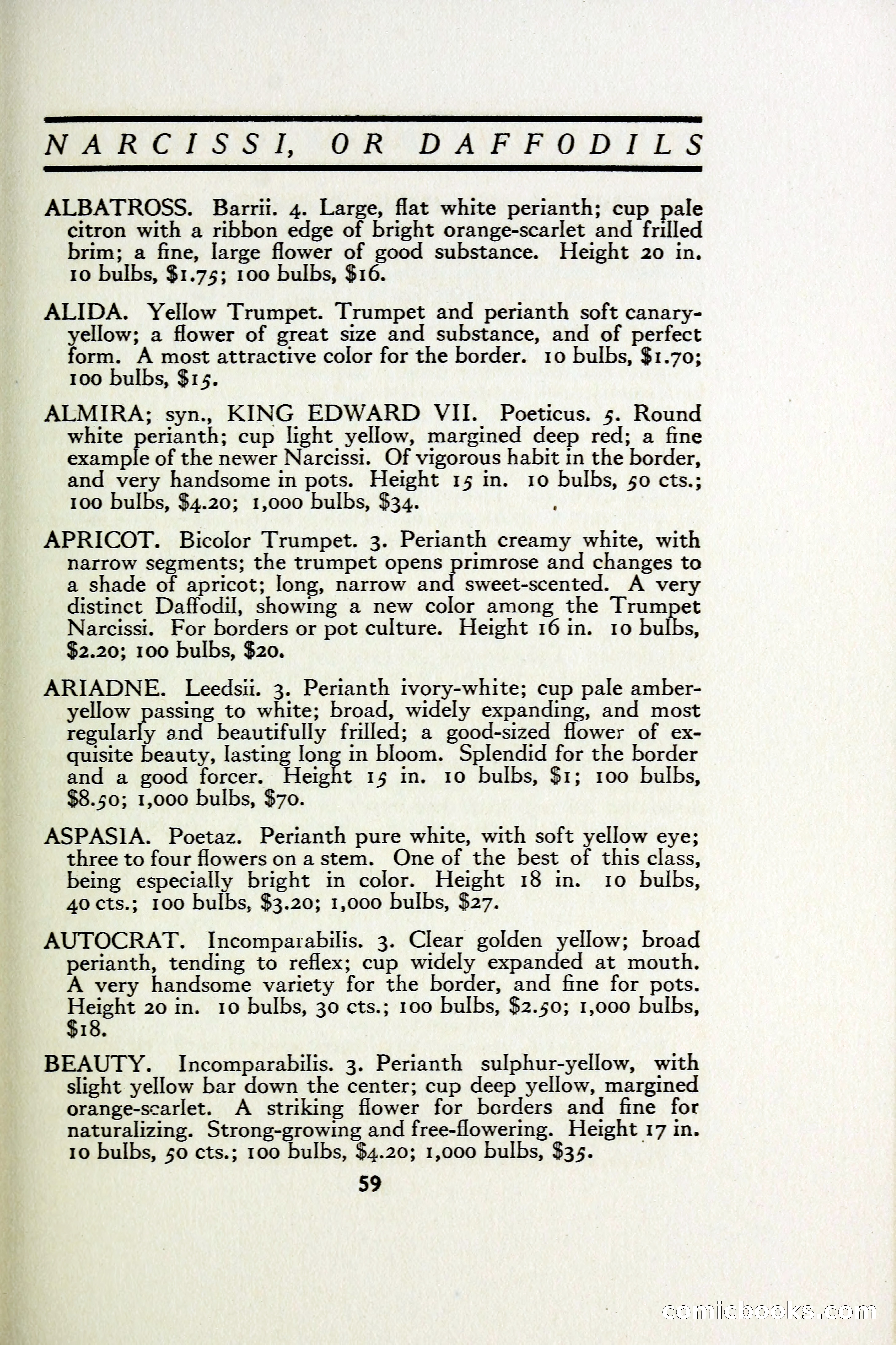 The Blue Book of Bulbs — page 66 of 97