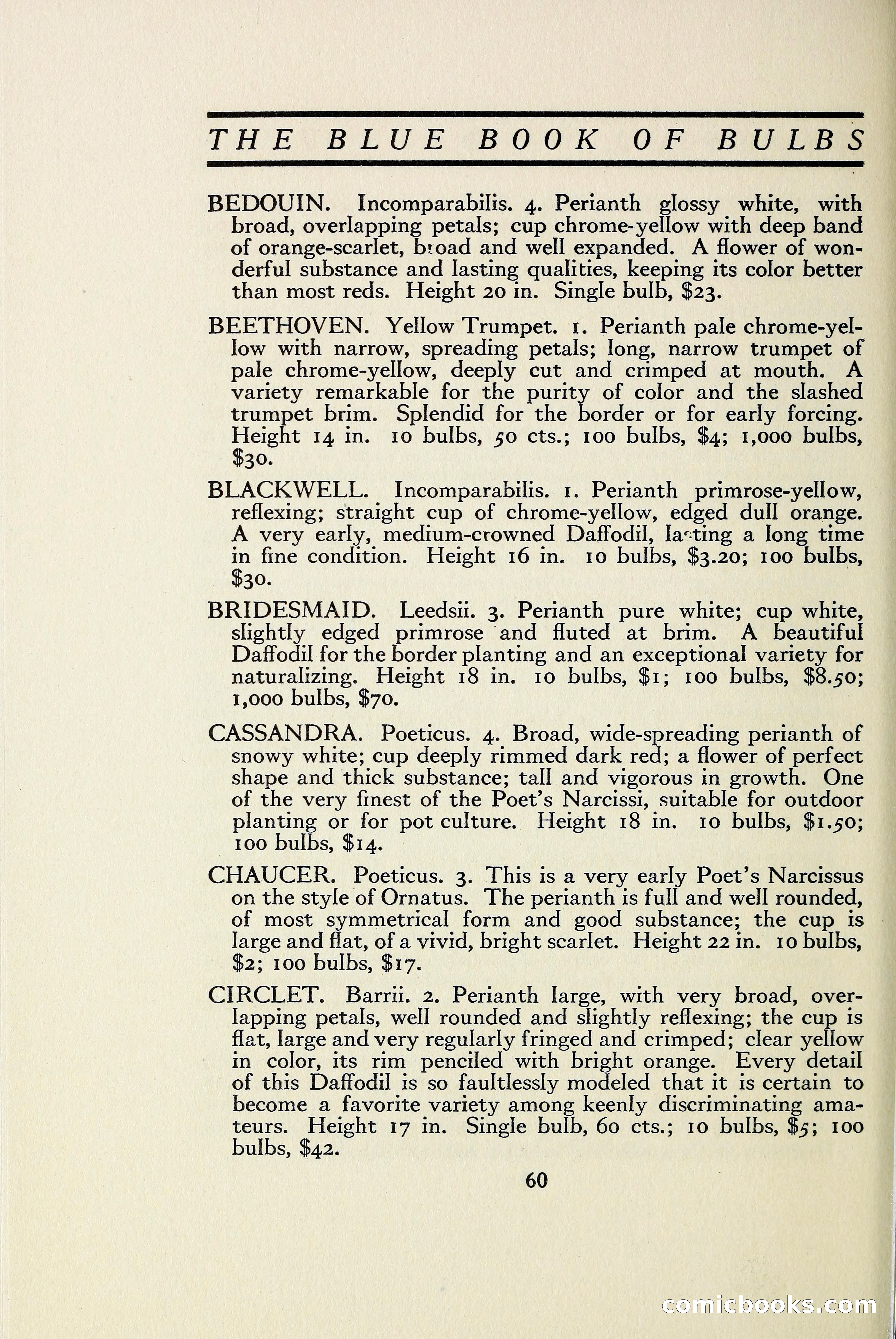 The Blue Book of Bulbs — page 67 of 97