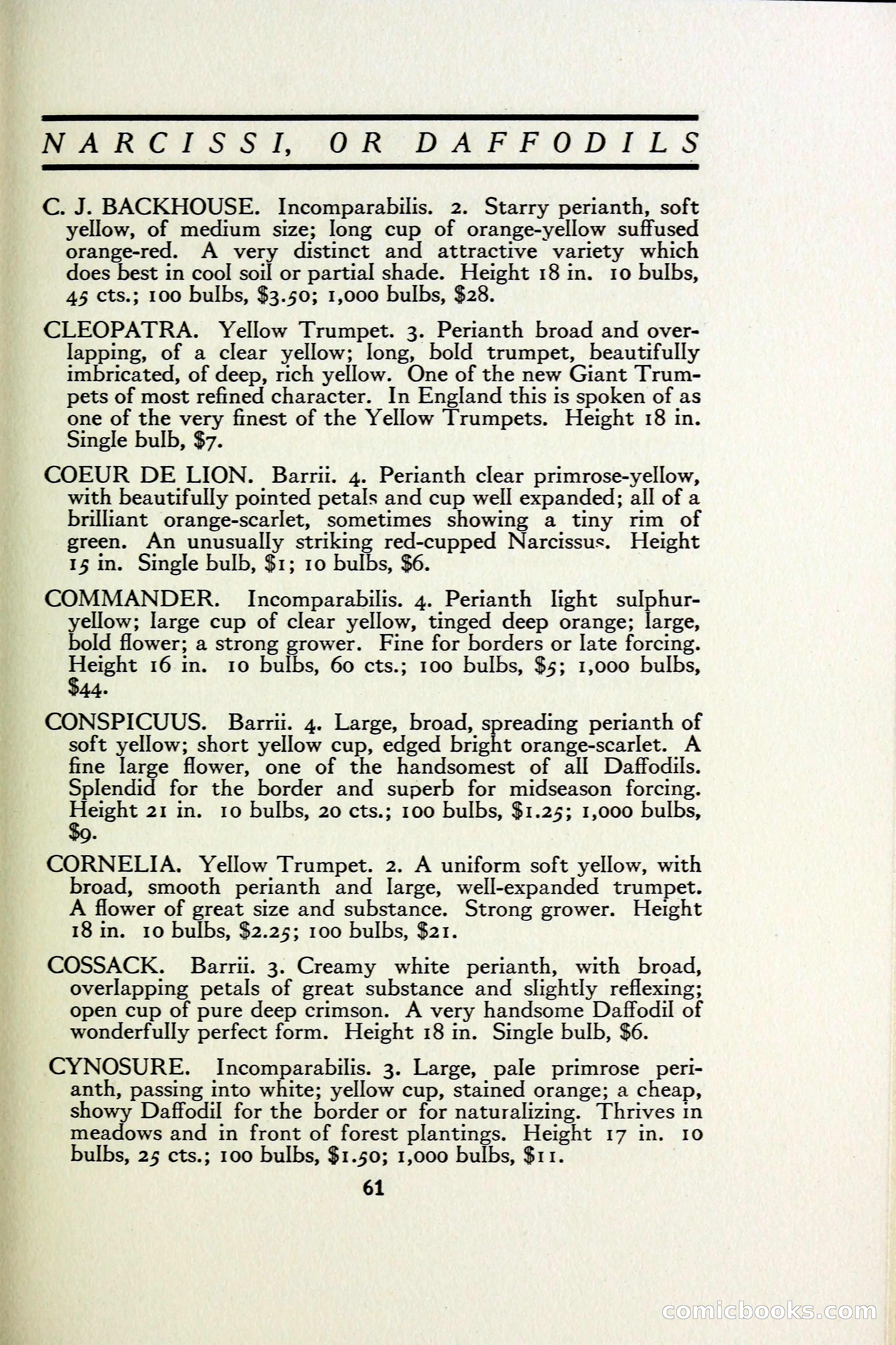 The Blue Book of Bulbs — page 68 of 97