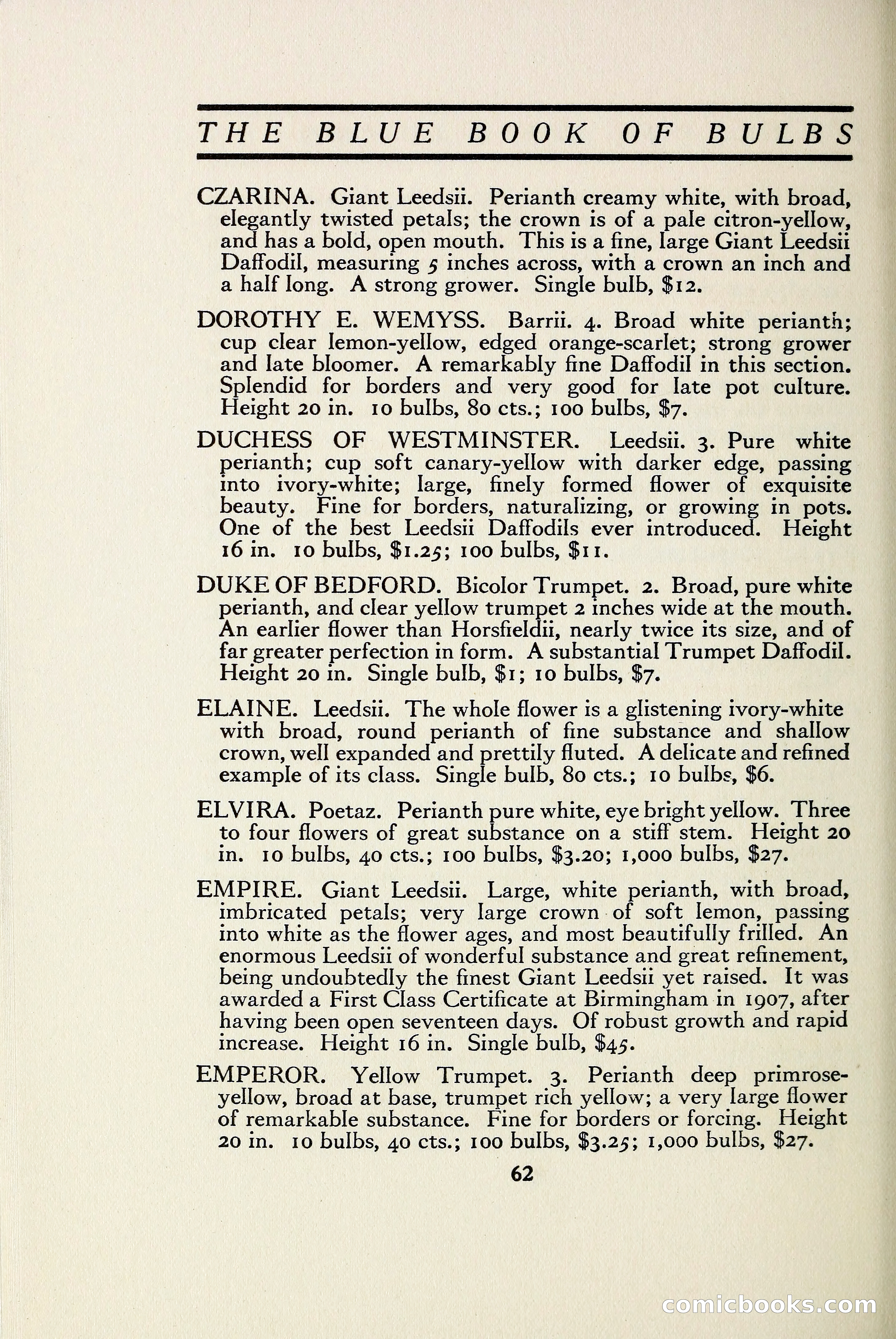 The Blue Book of Bulbs — page 69 of 97