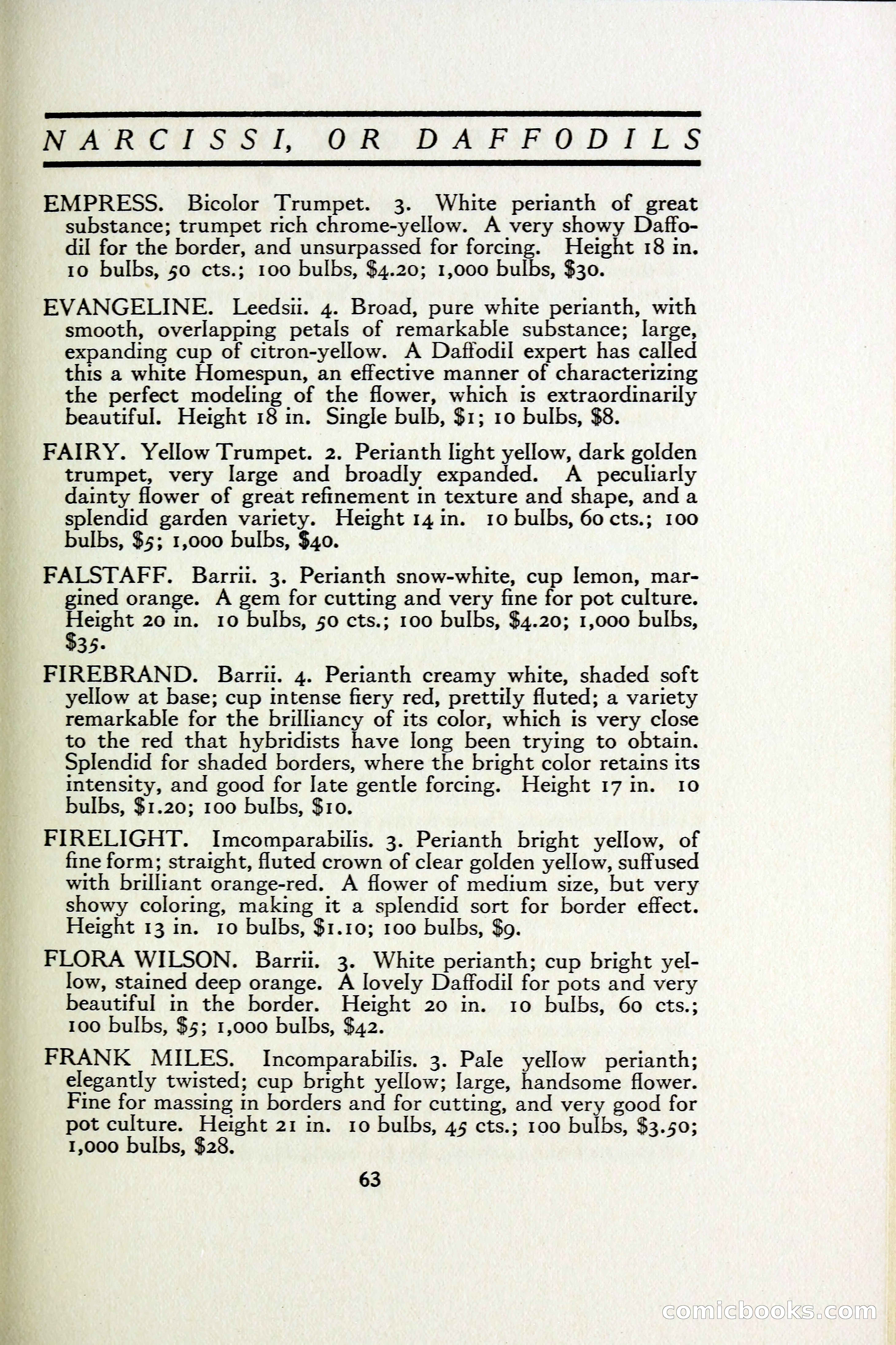 The Blue Book of Bulbs — page 70 of 97