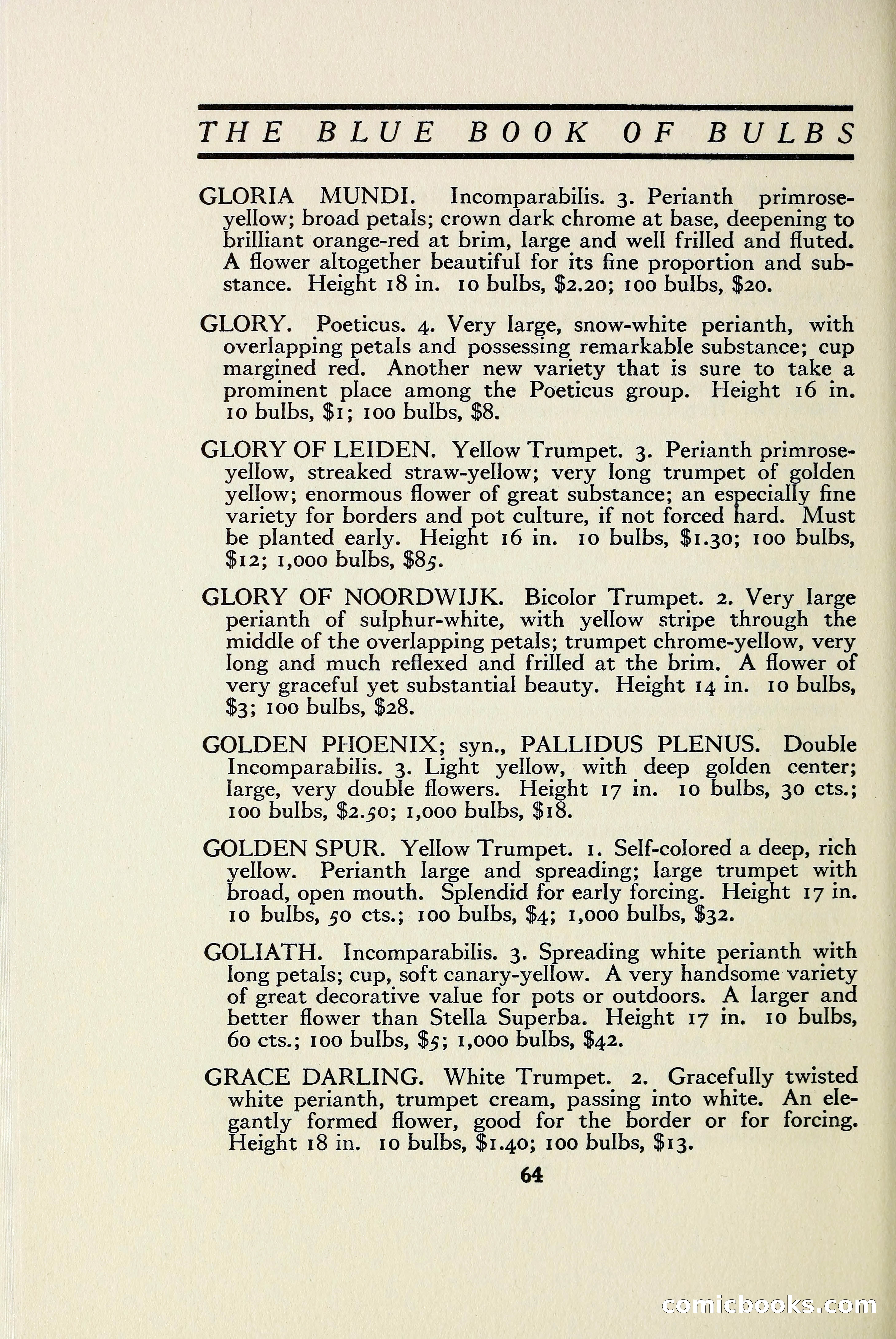 The Blue Book of Bulbs — page 71 of 97