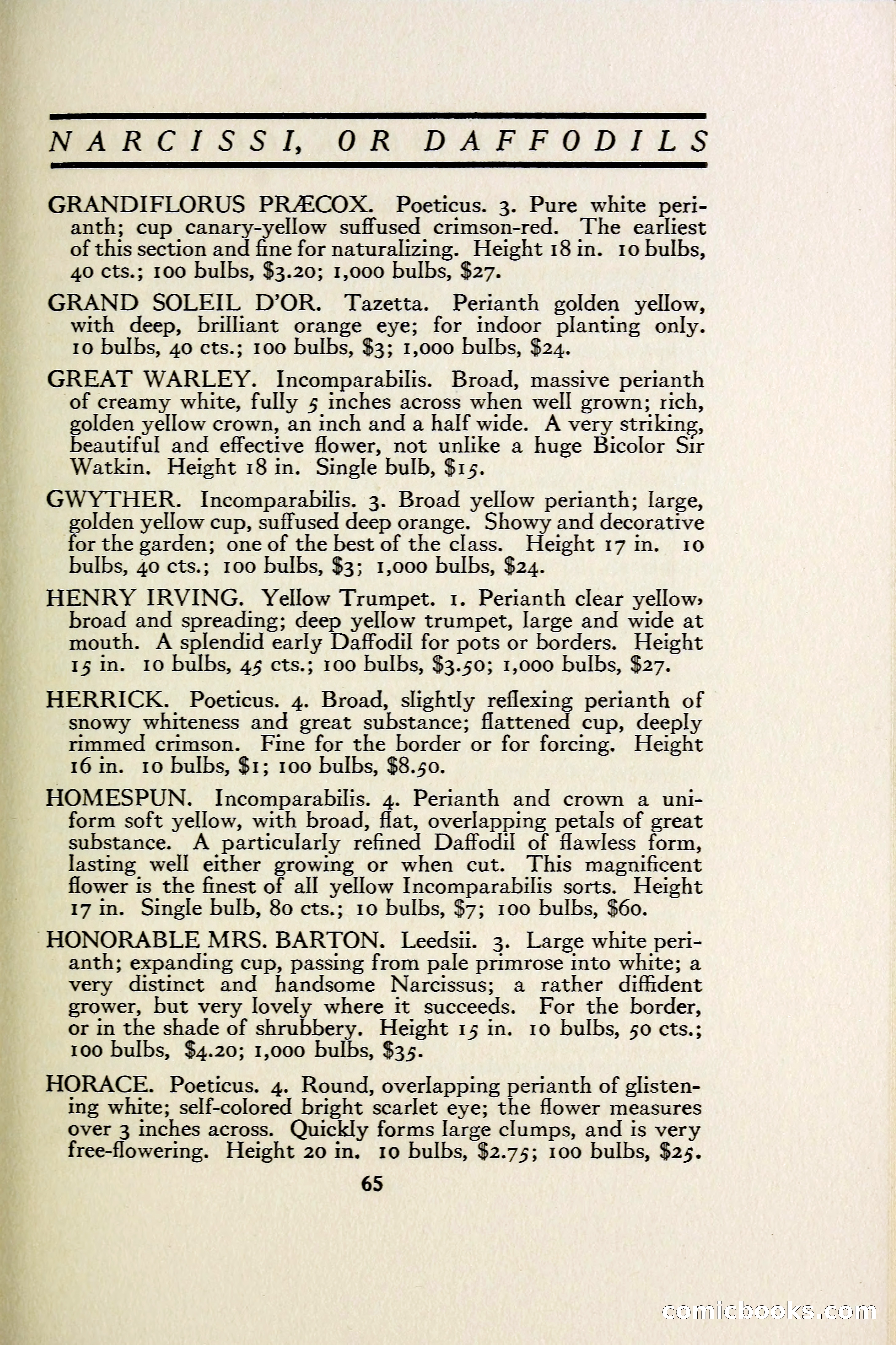 The Blue Book of Bulbs — page 72 of 97