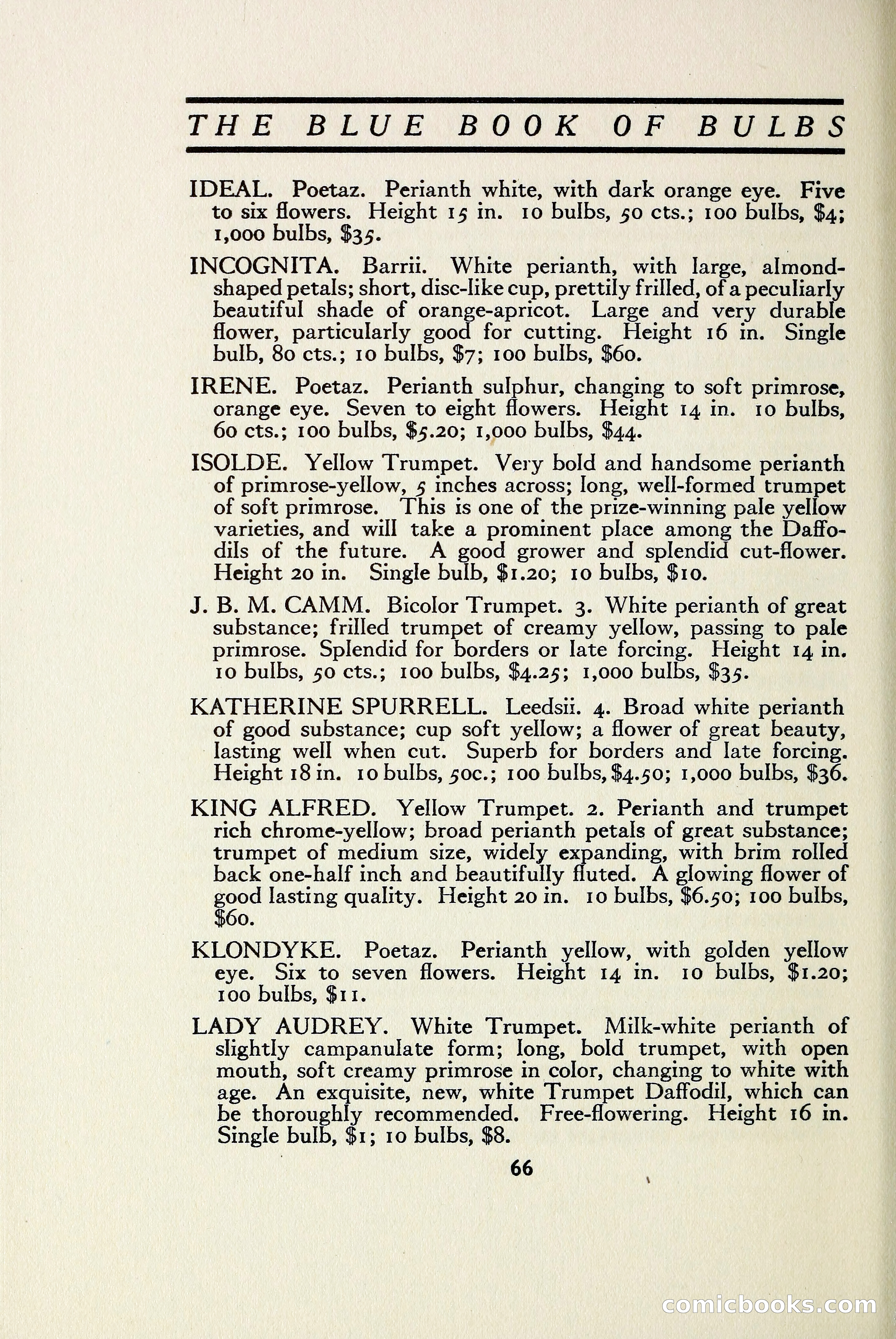 The Blue Book of Bulbs — page 73 of 97