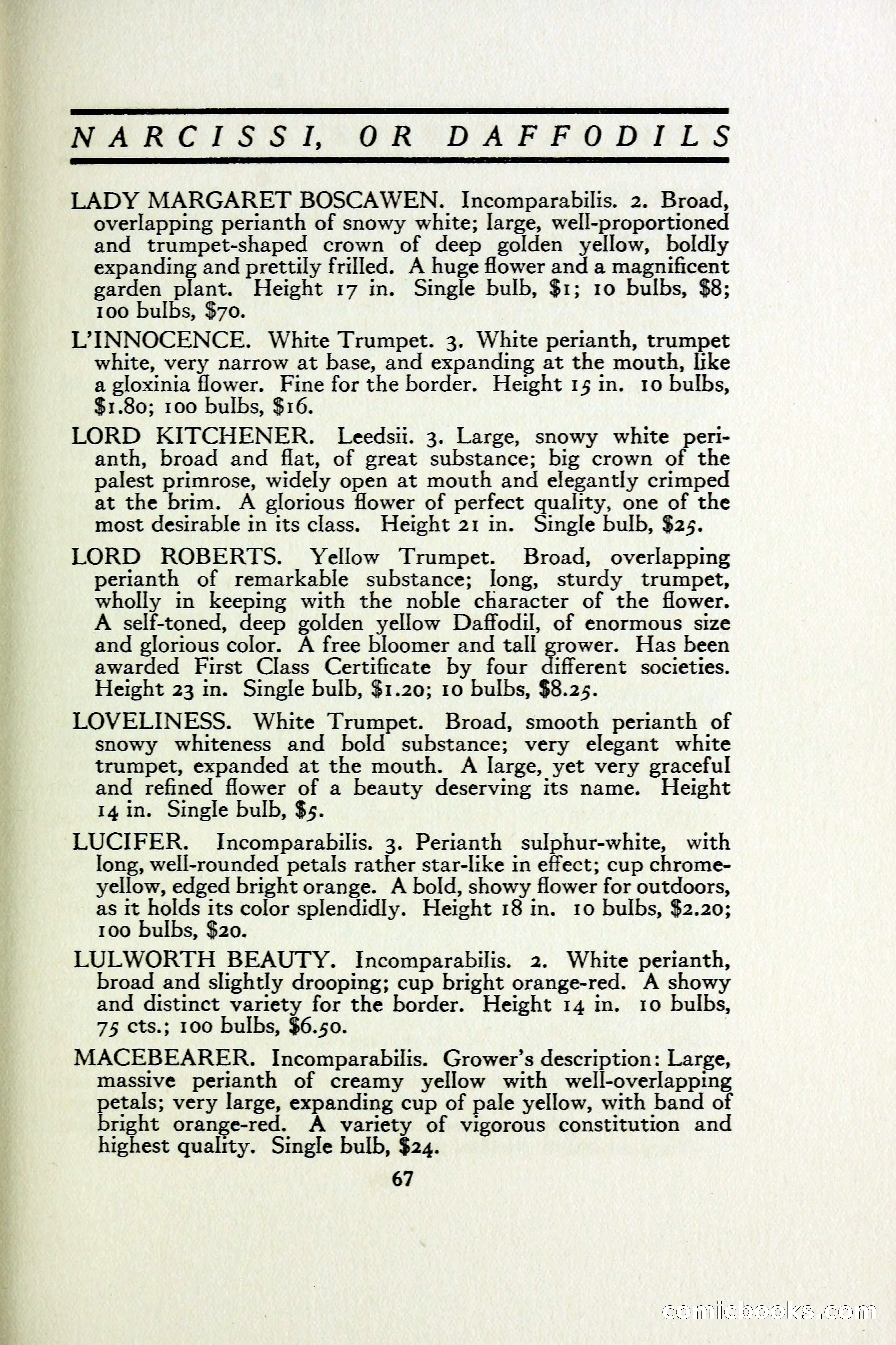 The Blue Book of Bulbs — page 74 of 97