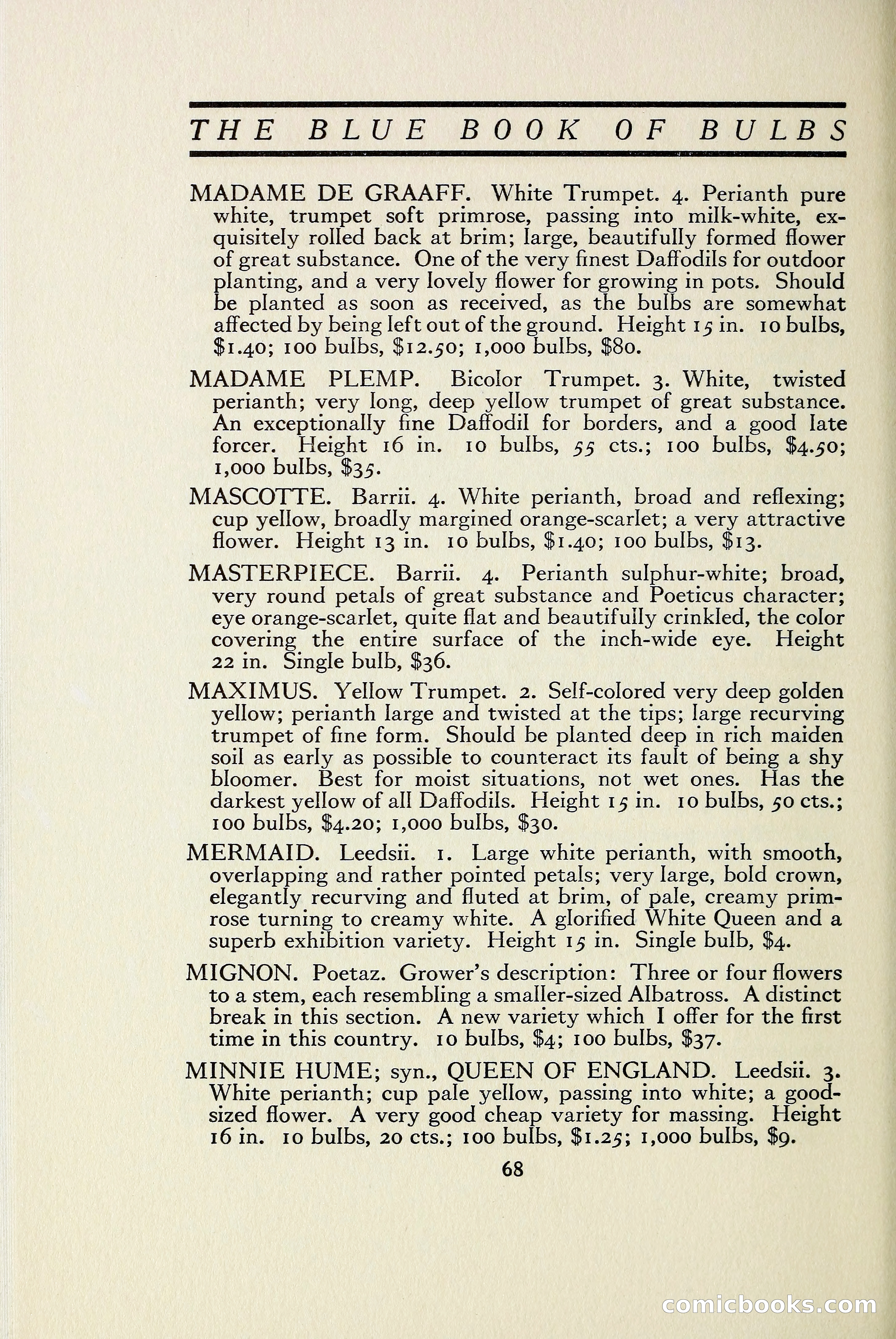The Blue Book of Bulbs — page 75 of 97