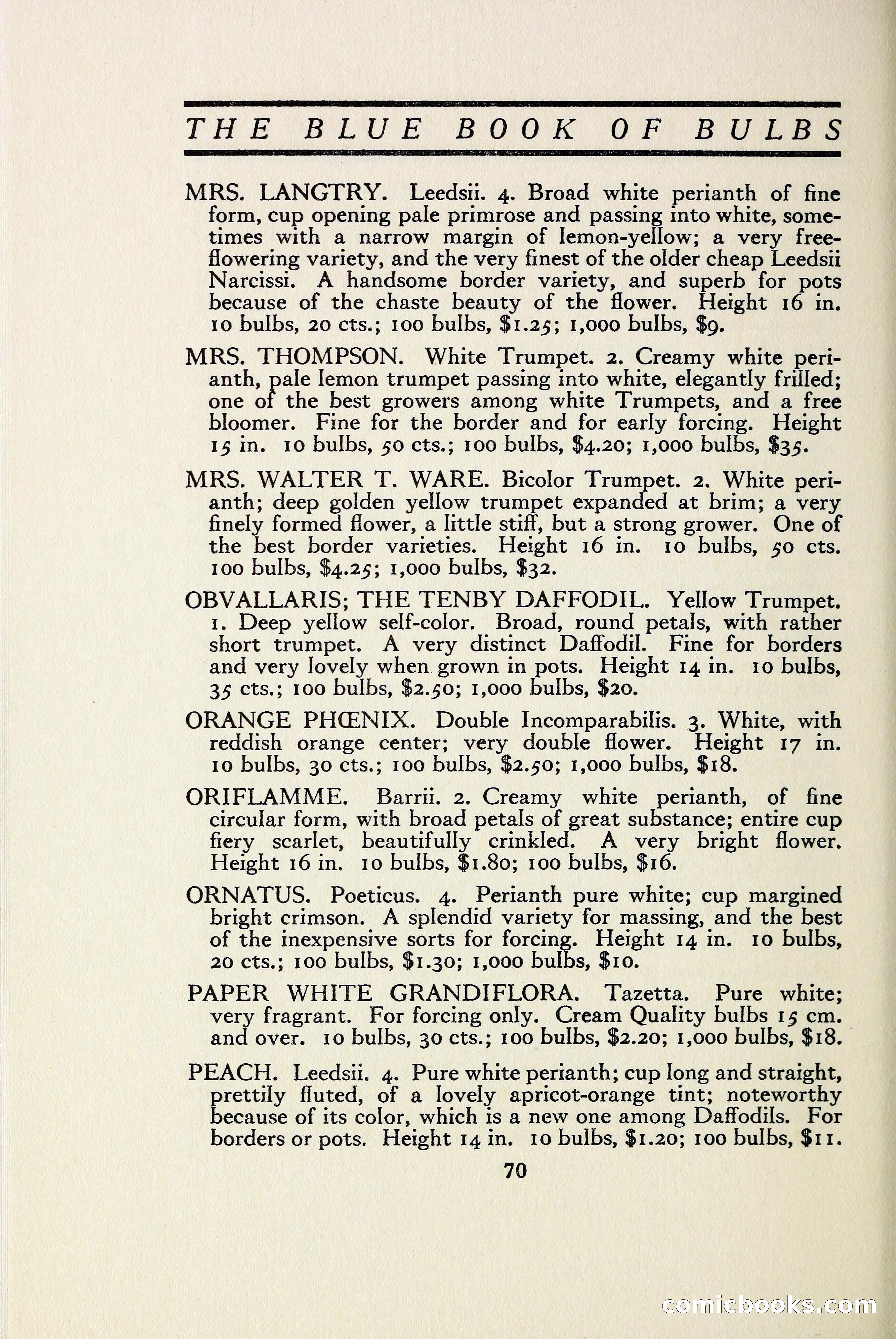 The Blue Book of Bulbs — page 77 of 97