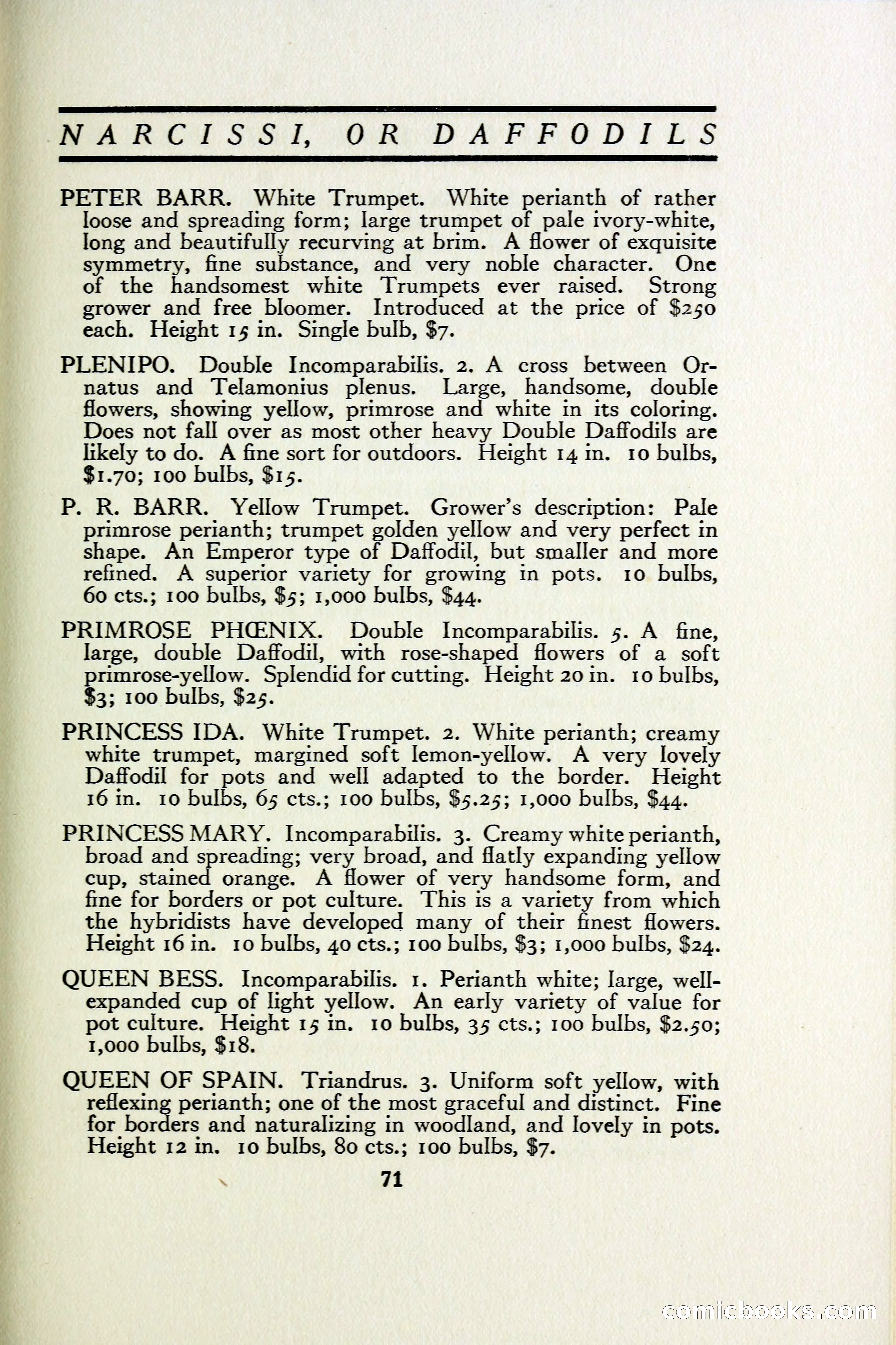 The Blue Book of Bulbs — page 78 of 97