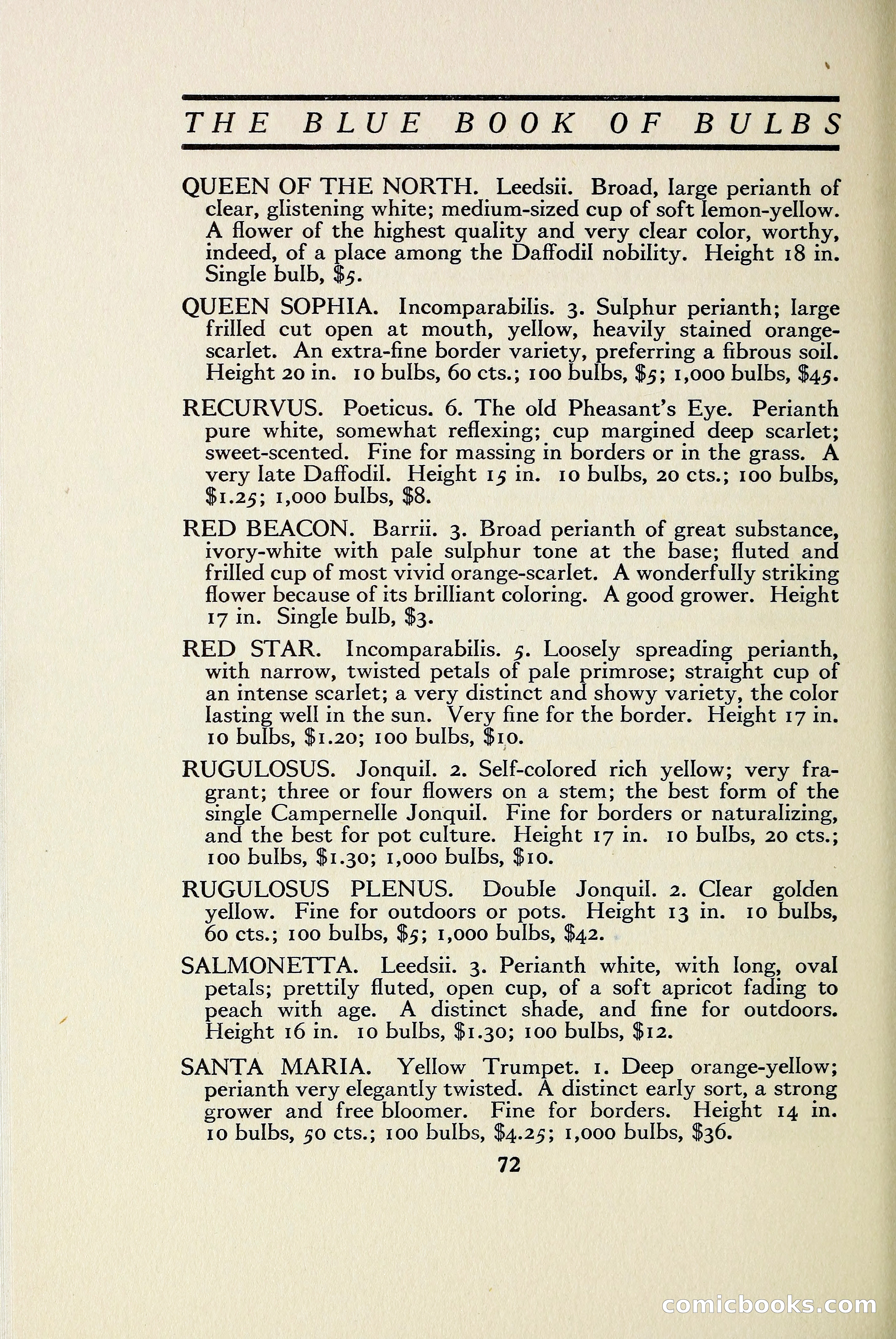 The Blue Book of Bulbs — page 79 of 97