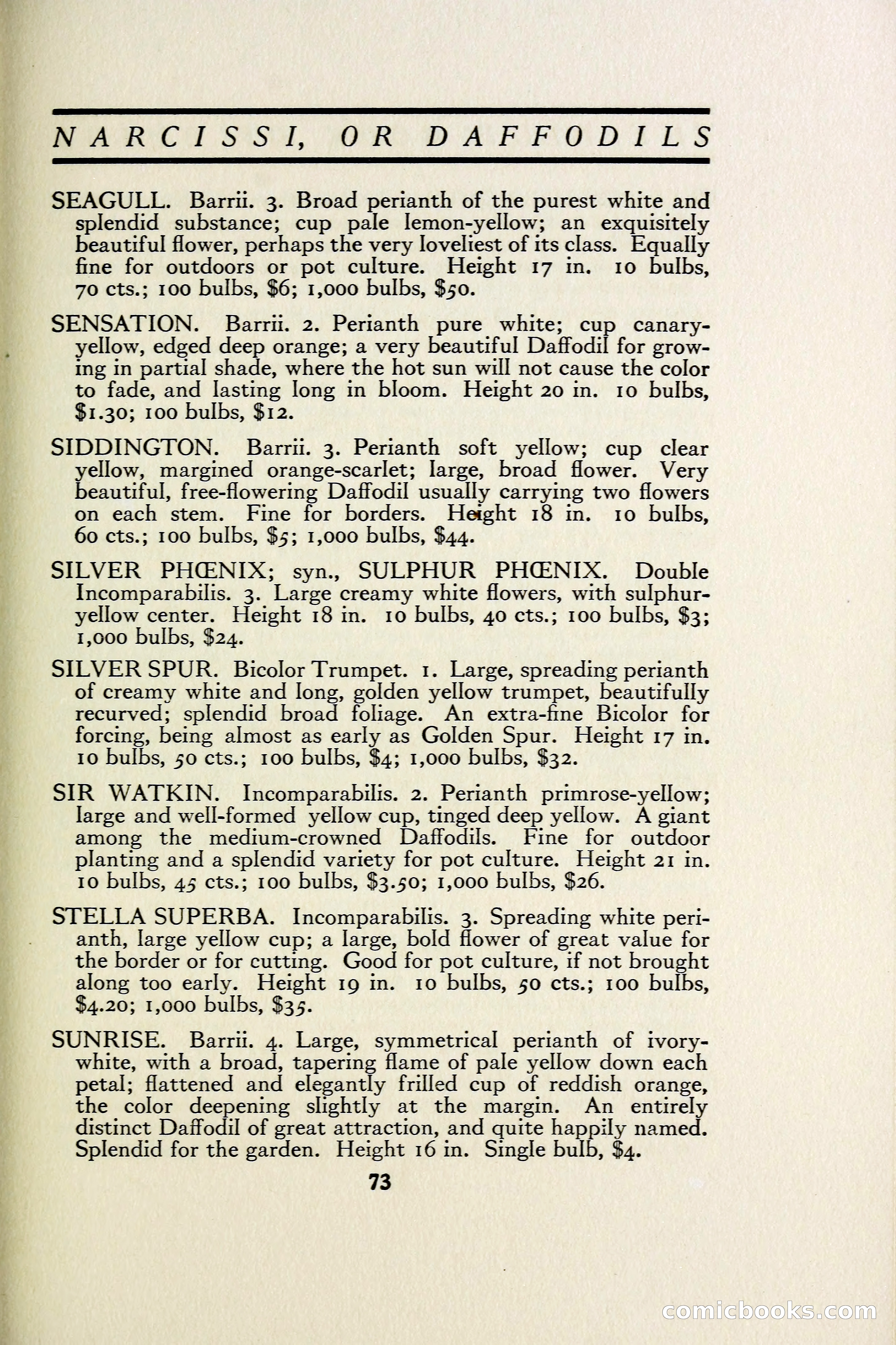 The Blue Book of Bulbs — page 80 of 97