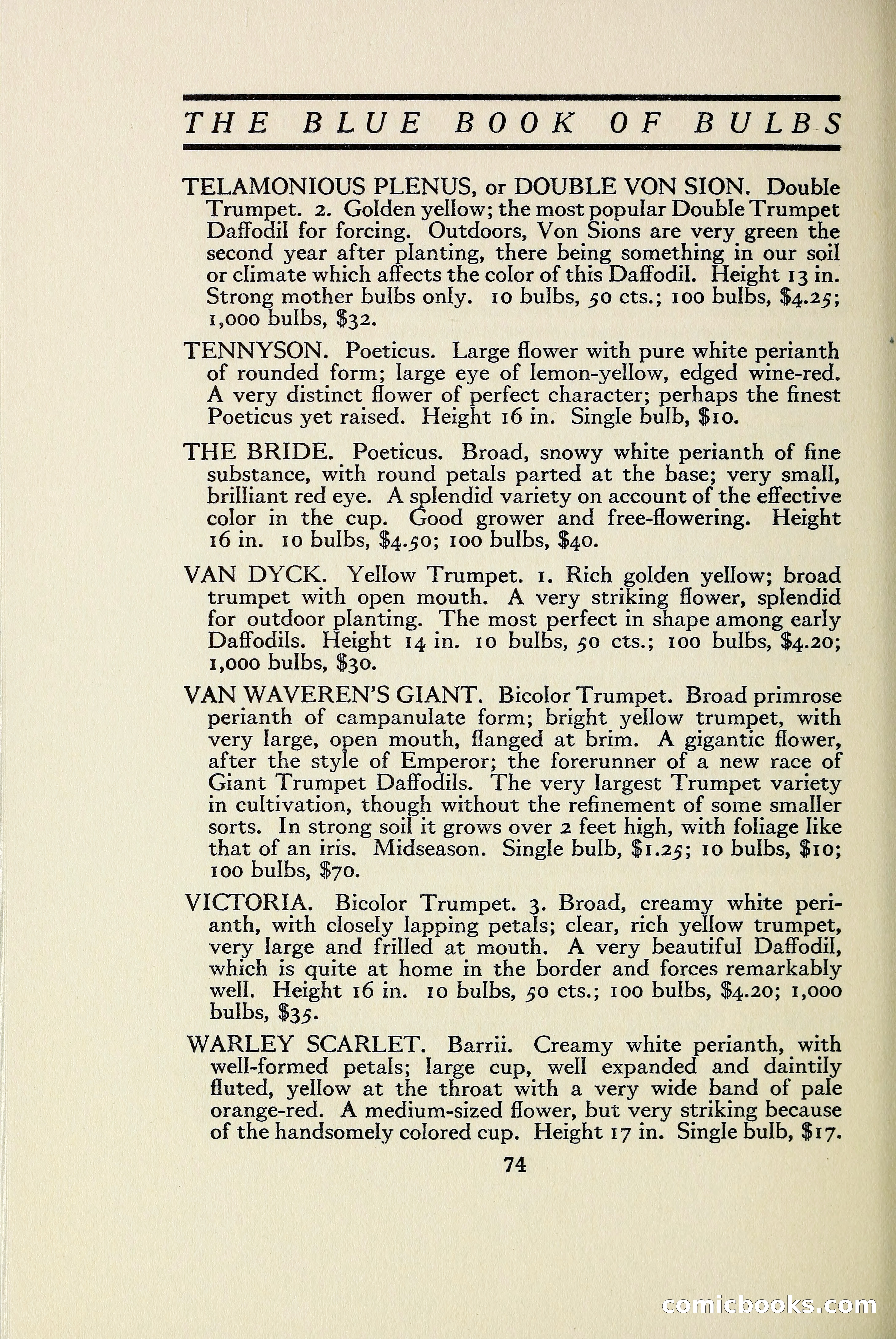 The Blue Book of Bulbs — page 81 of 97