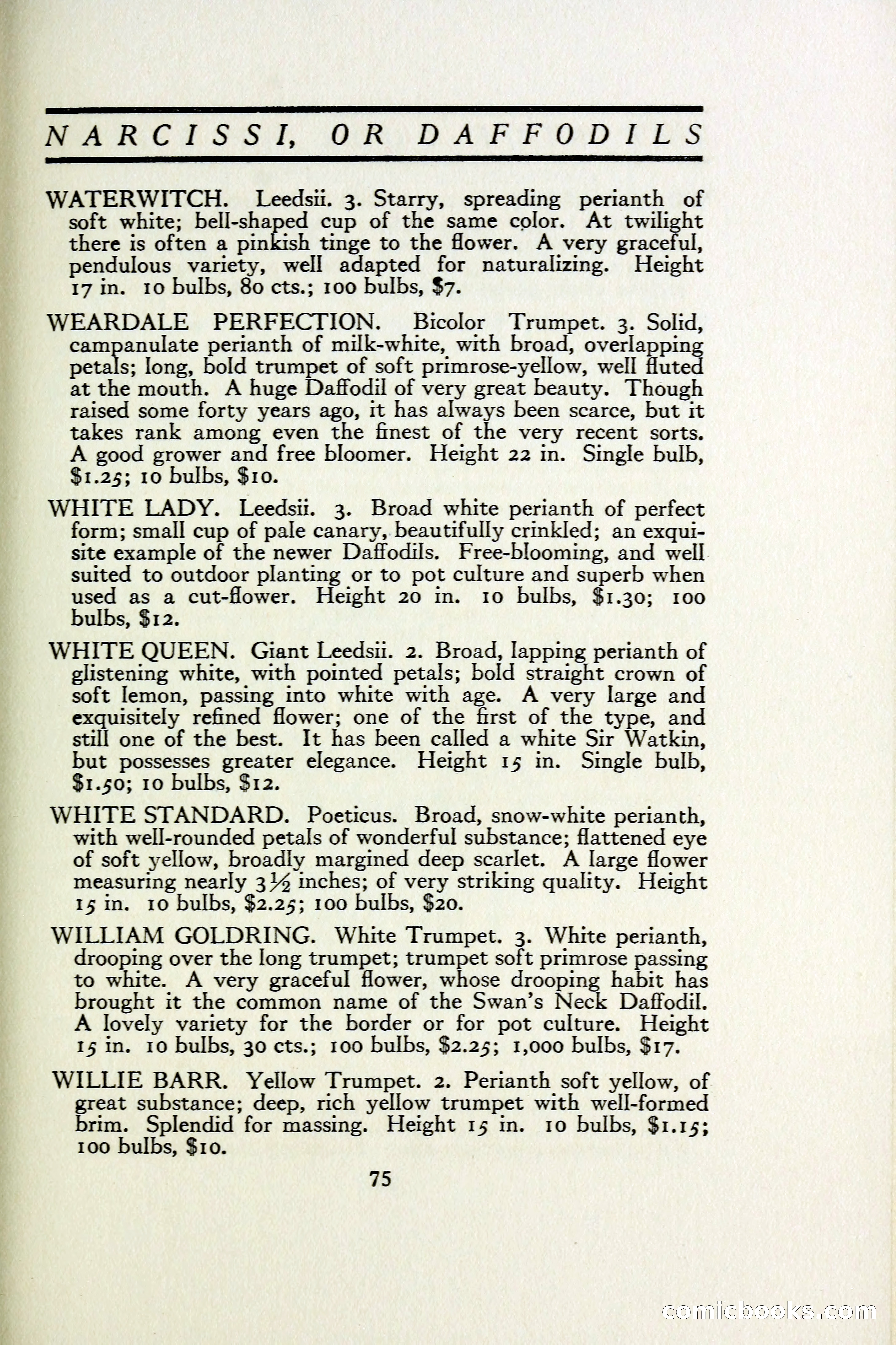 The Blue Book of Bulbs — page 82 of 97