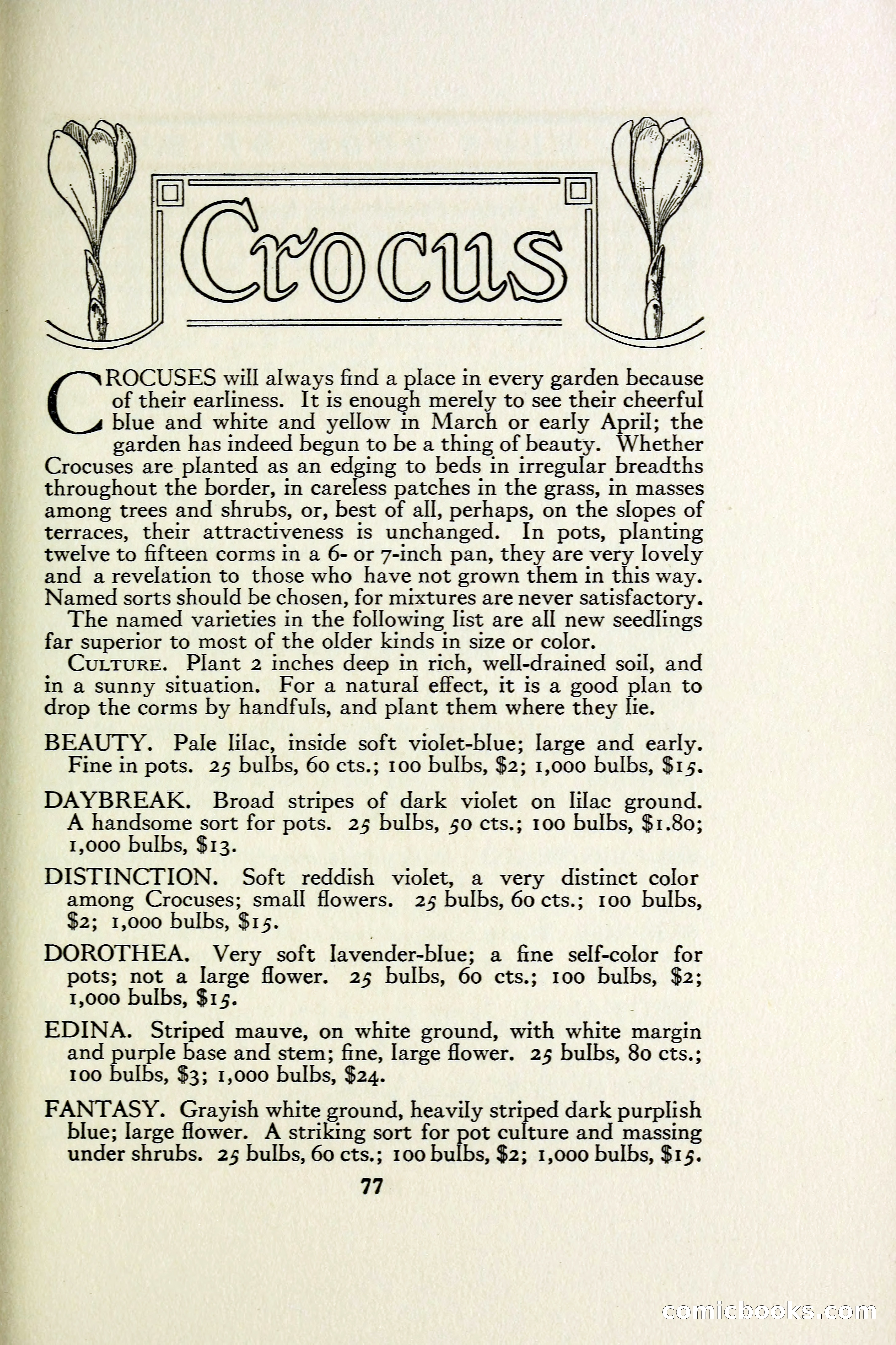 The Blue Book of Bulbs — page 84 of 97