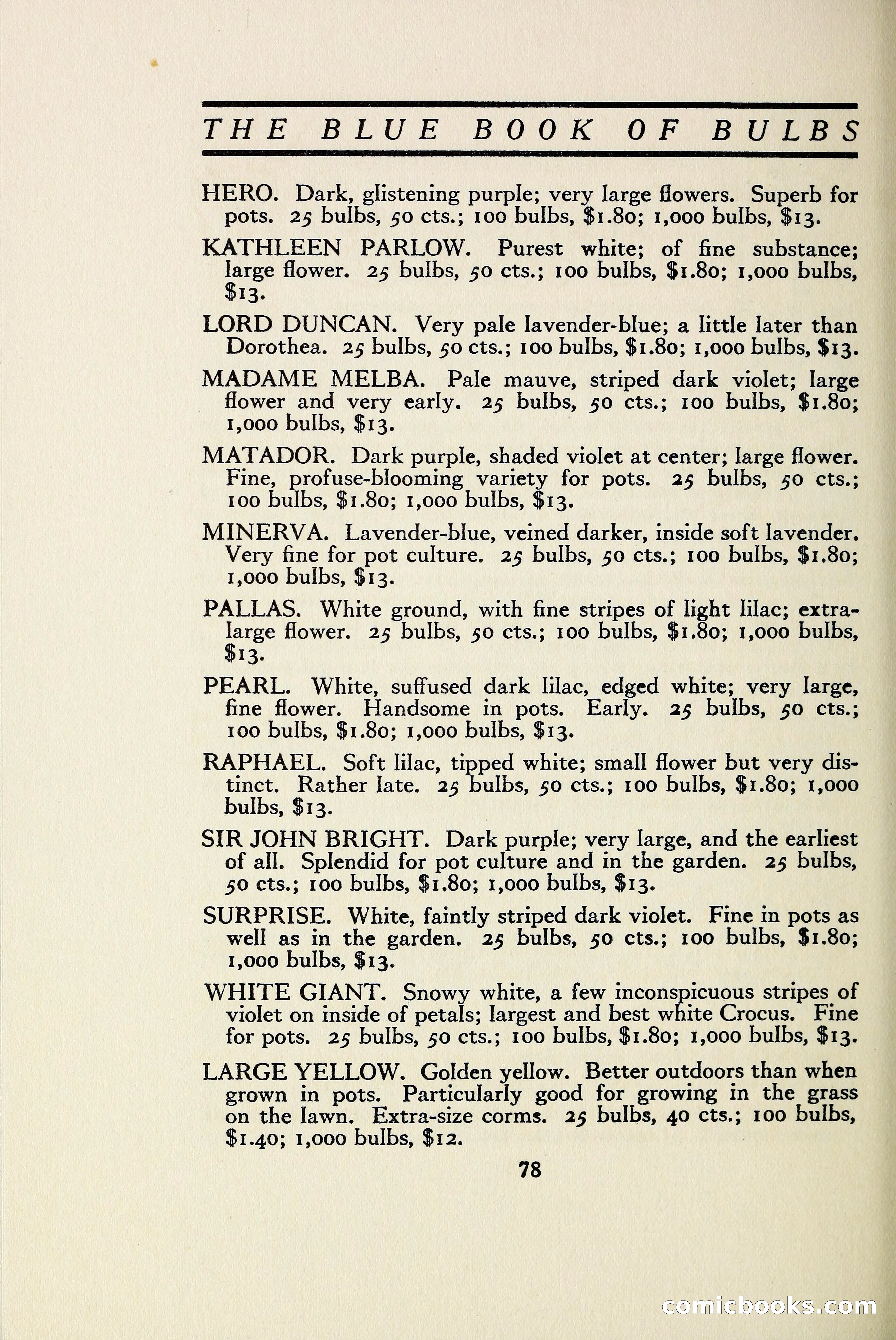 The Blue Book of Bulbs — page 85 of 97