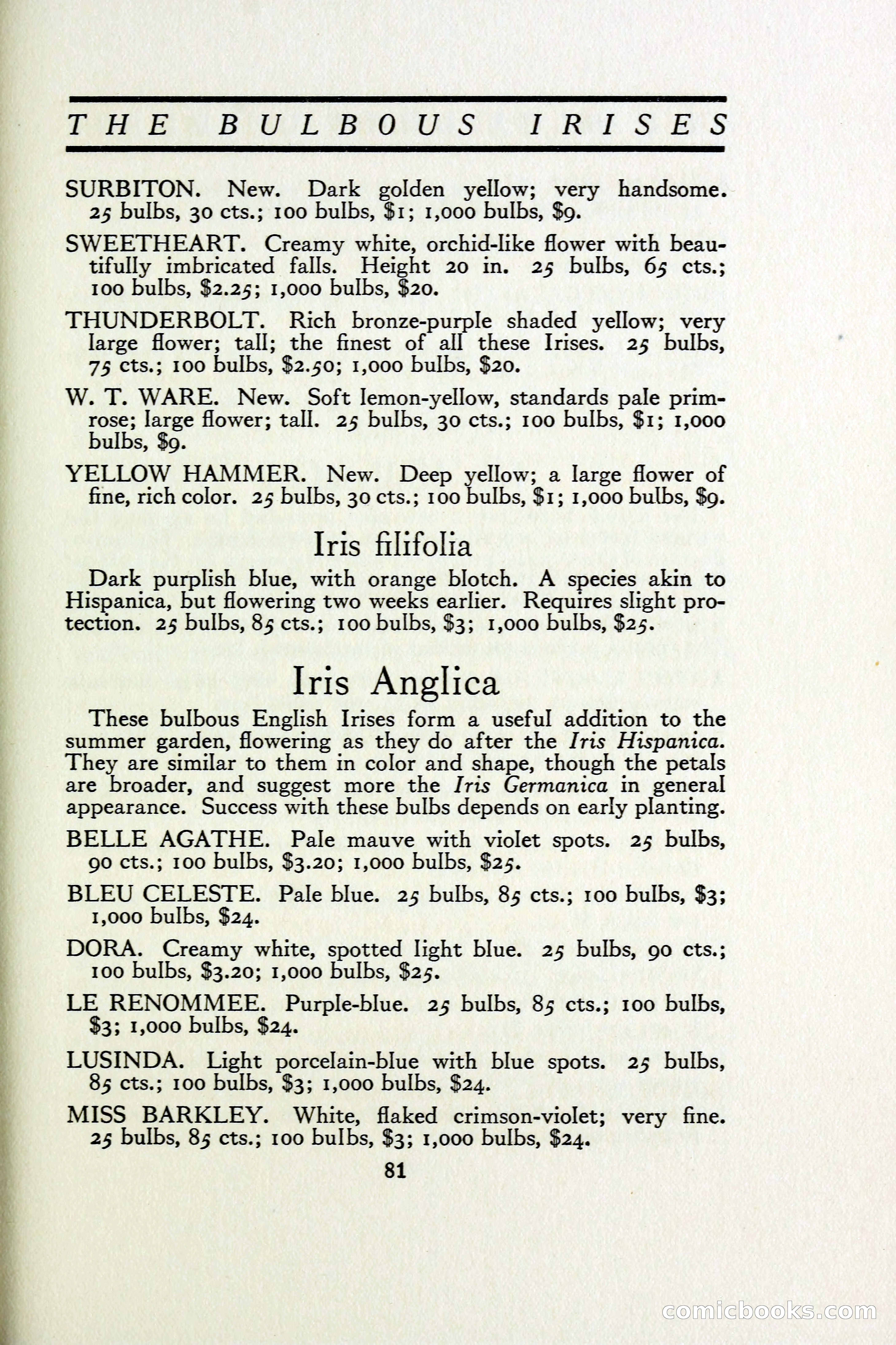 The Blue Book of Bulbs — page 90 of 97