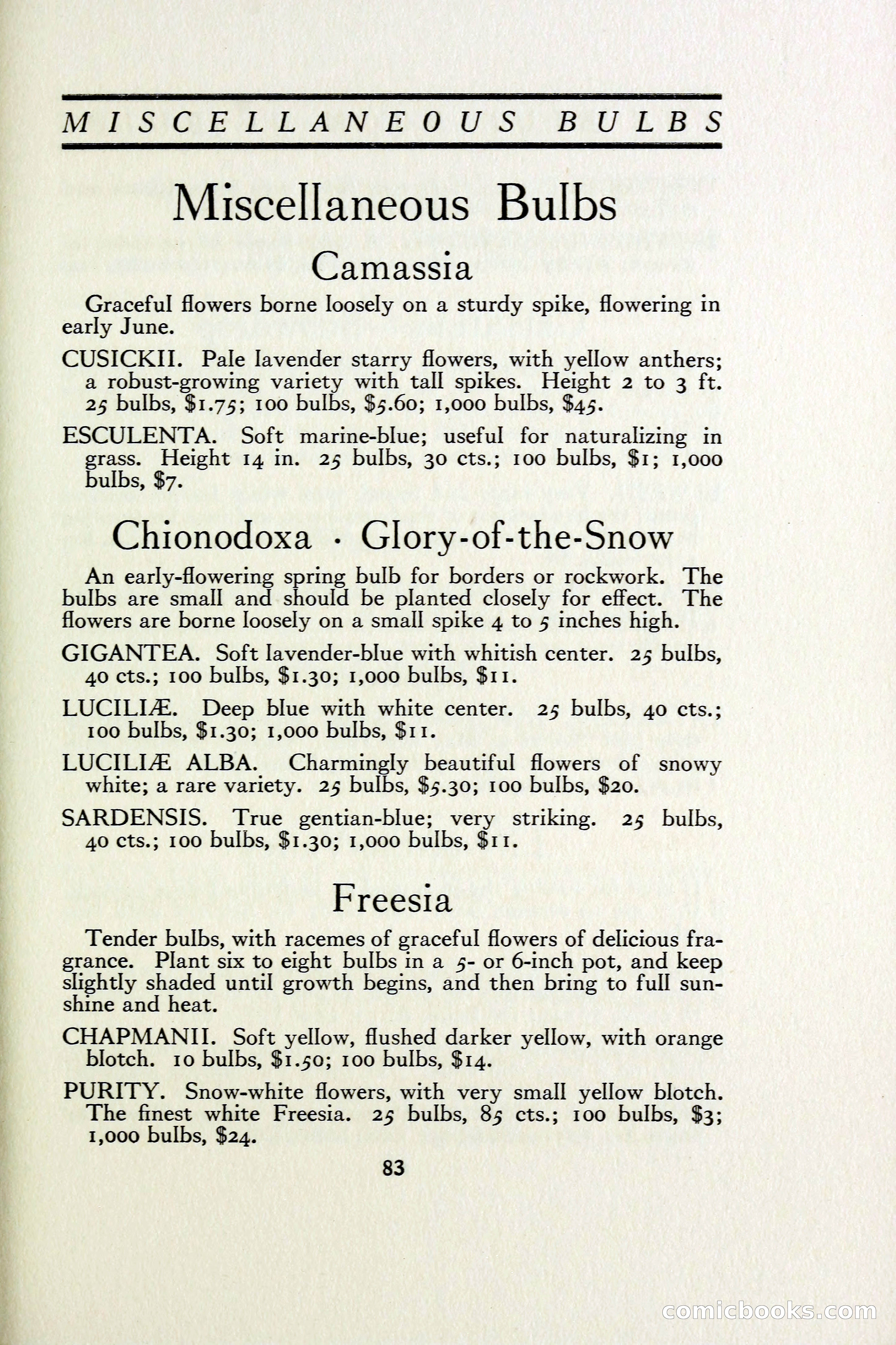 The Blue Book of Bulbs — page 92 of 97