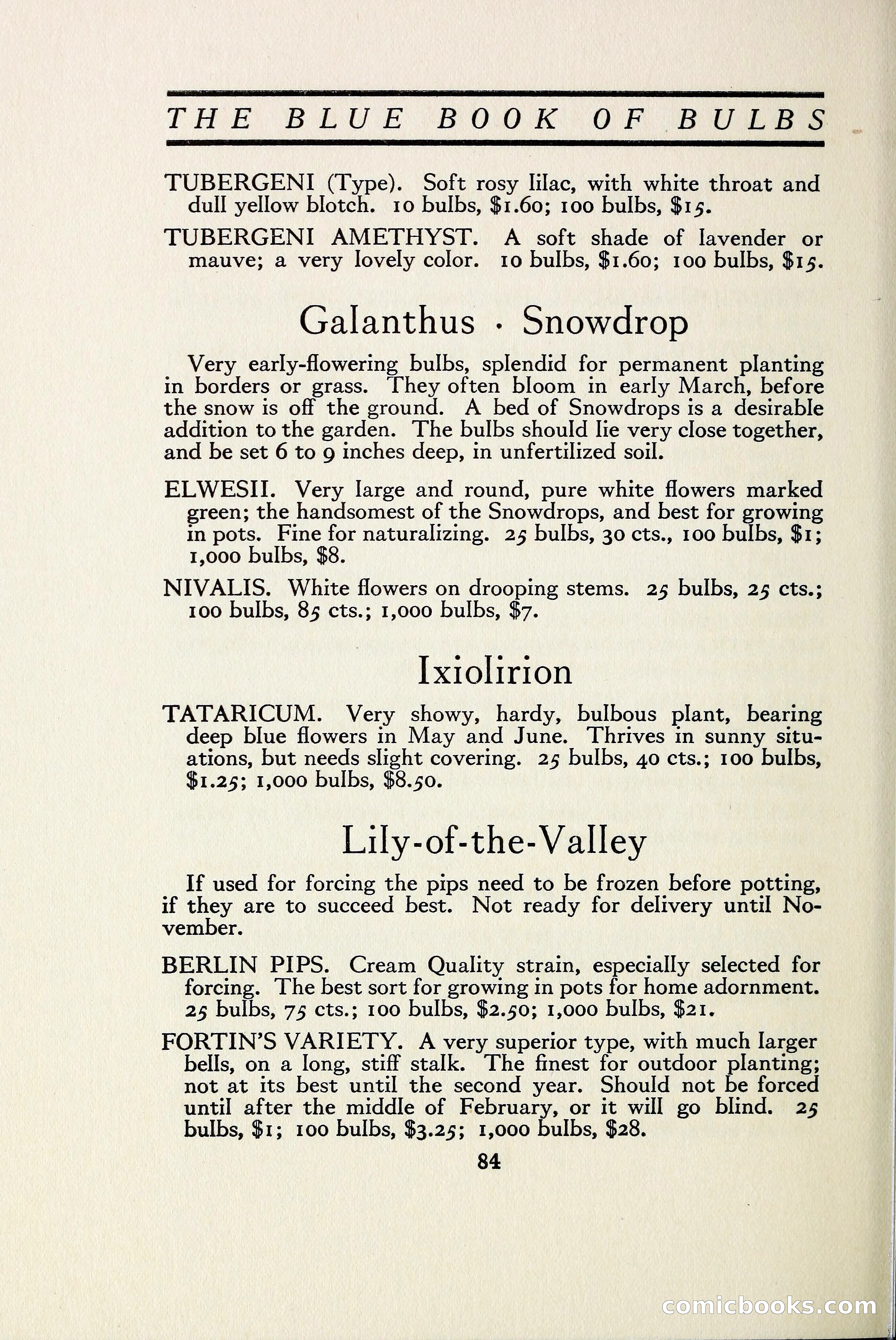 The Blue Book of Bulbs — page 93 of 97
