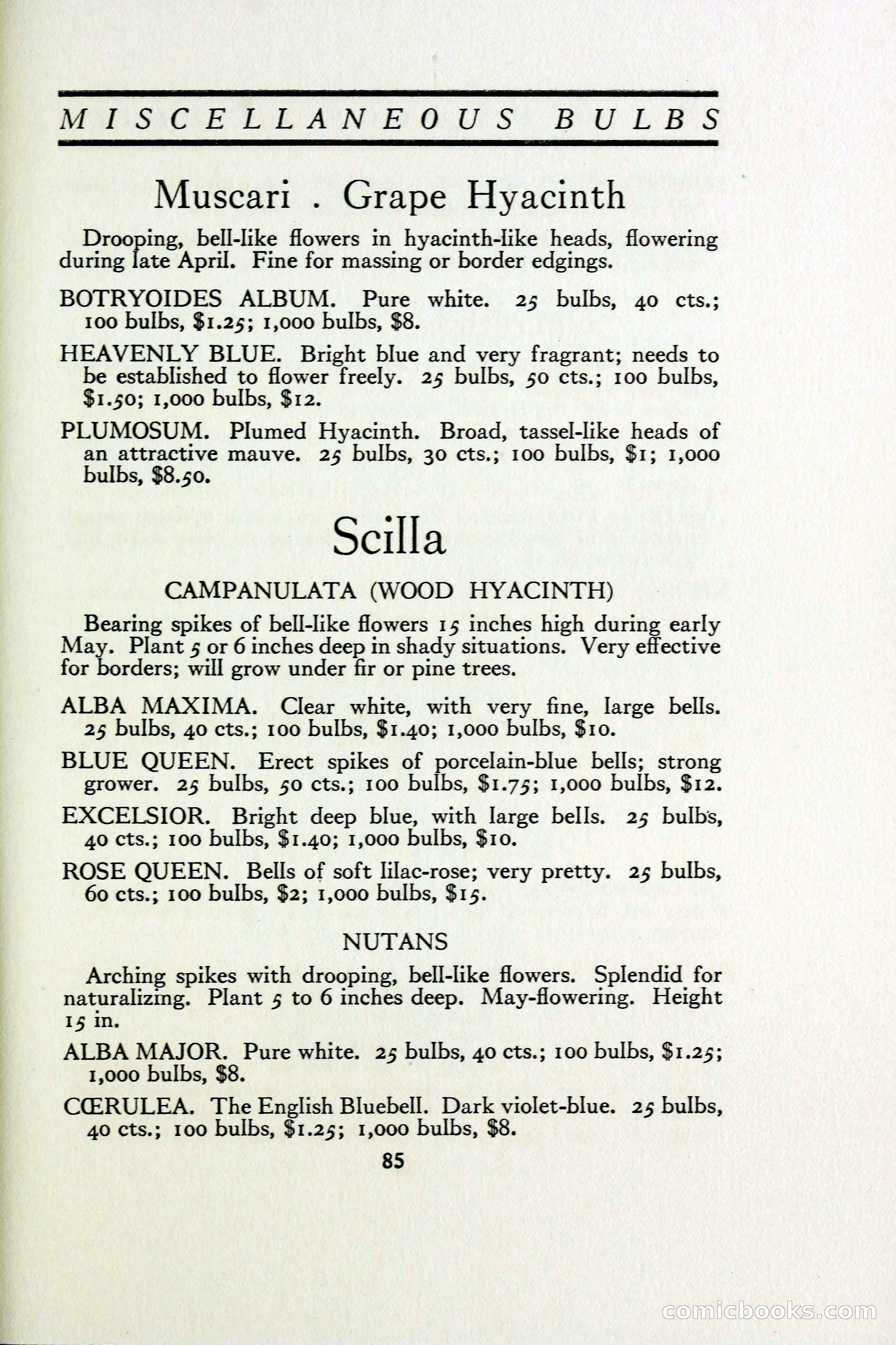 The Blue Book of Bulbs — page 94 of 97