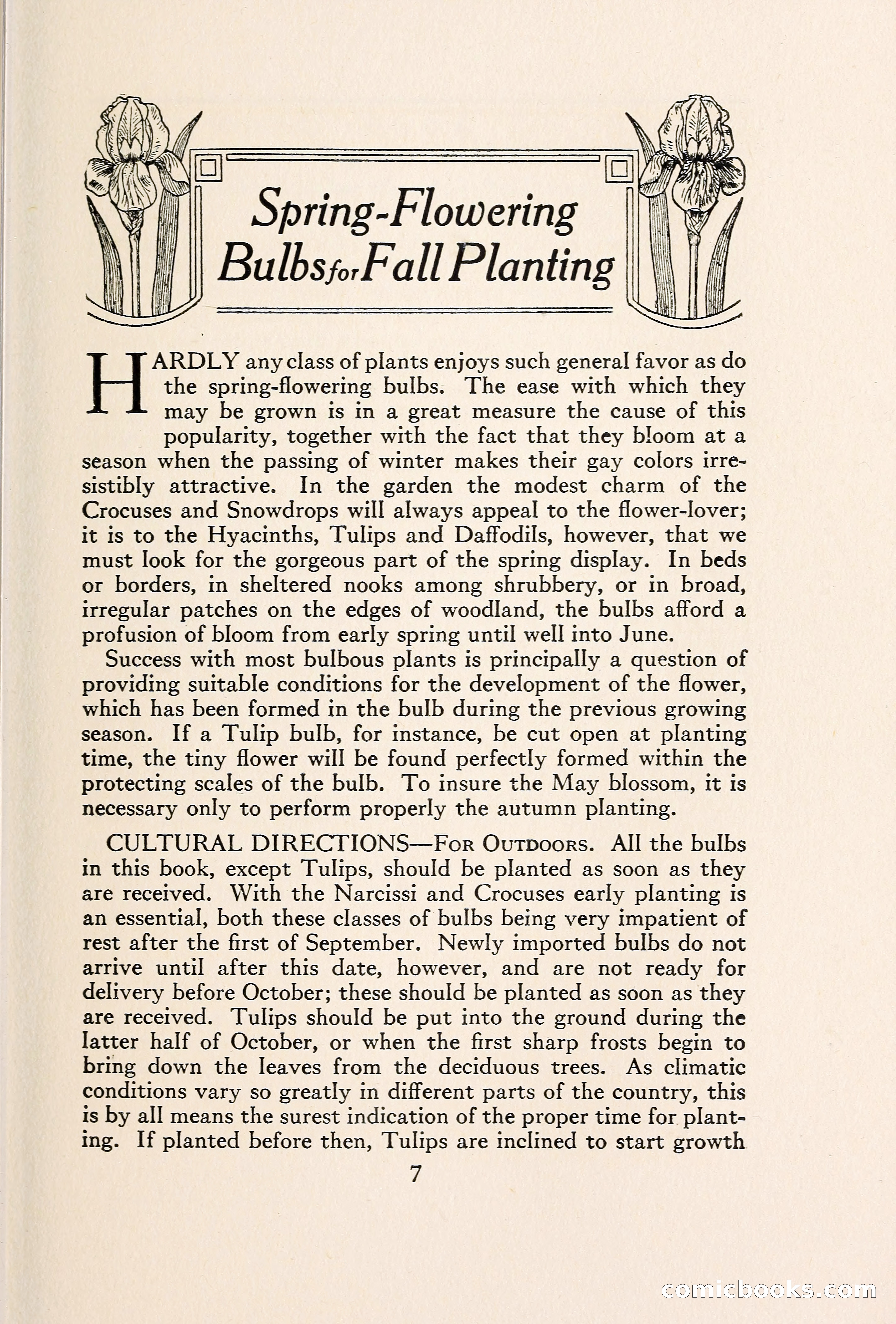 Blue Book of Bulbs — page 14 of 109