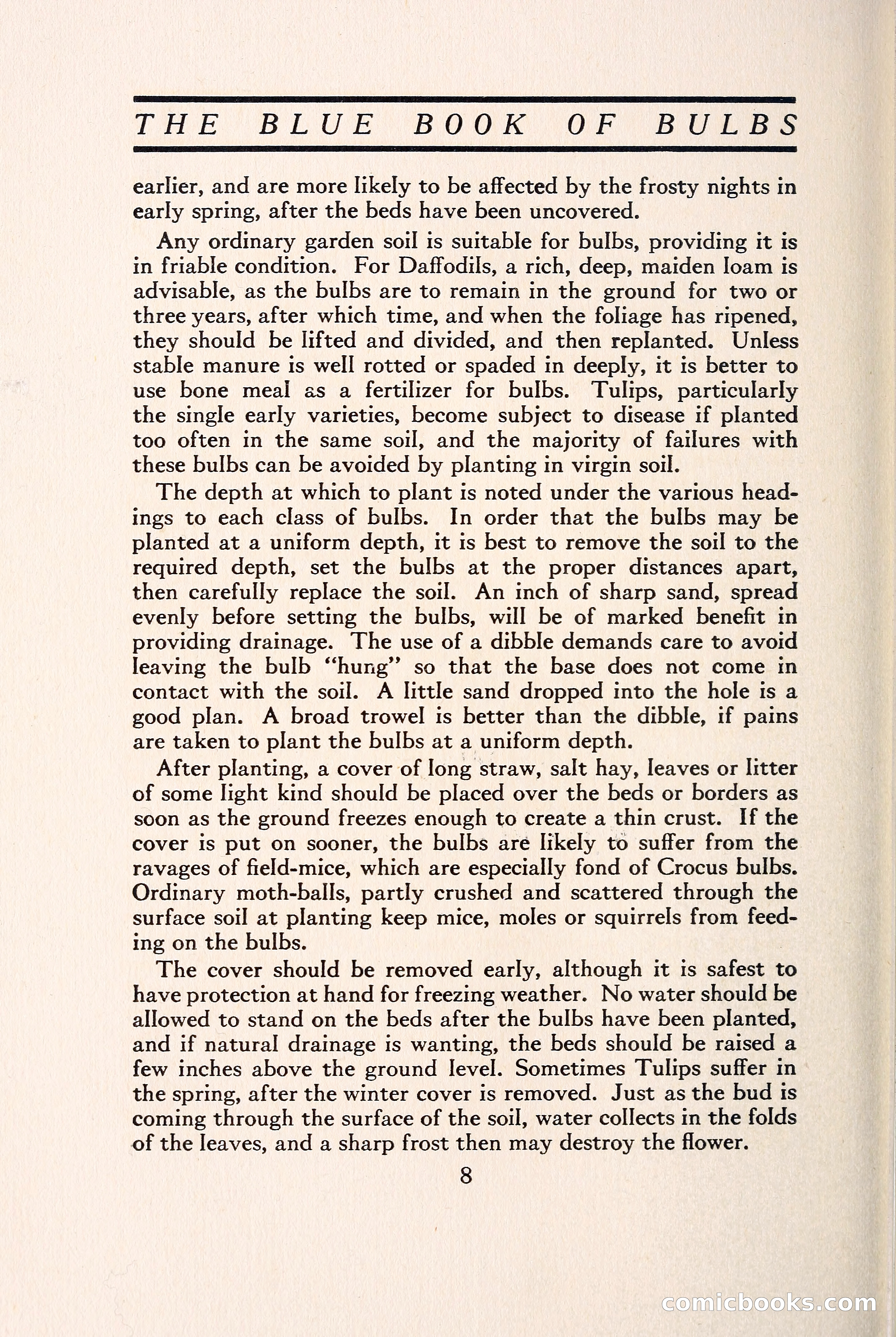 Blue Book of Bulbs — page 15 of 109