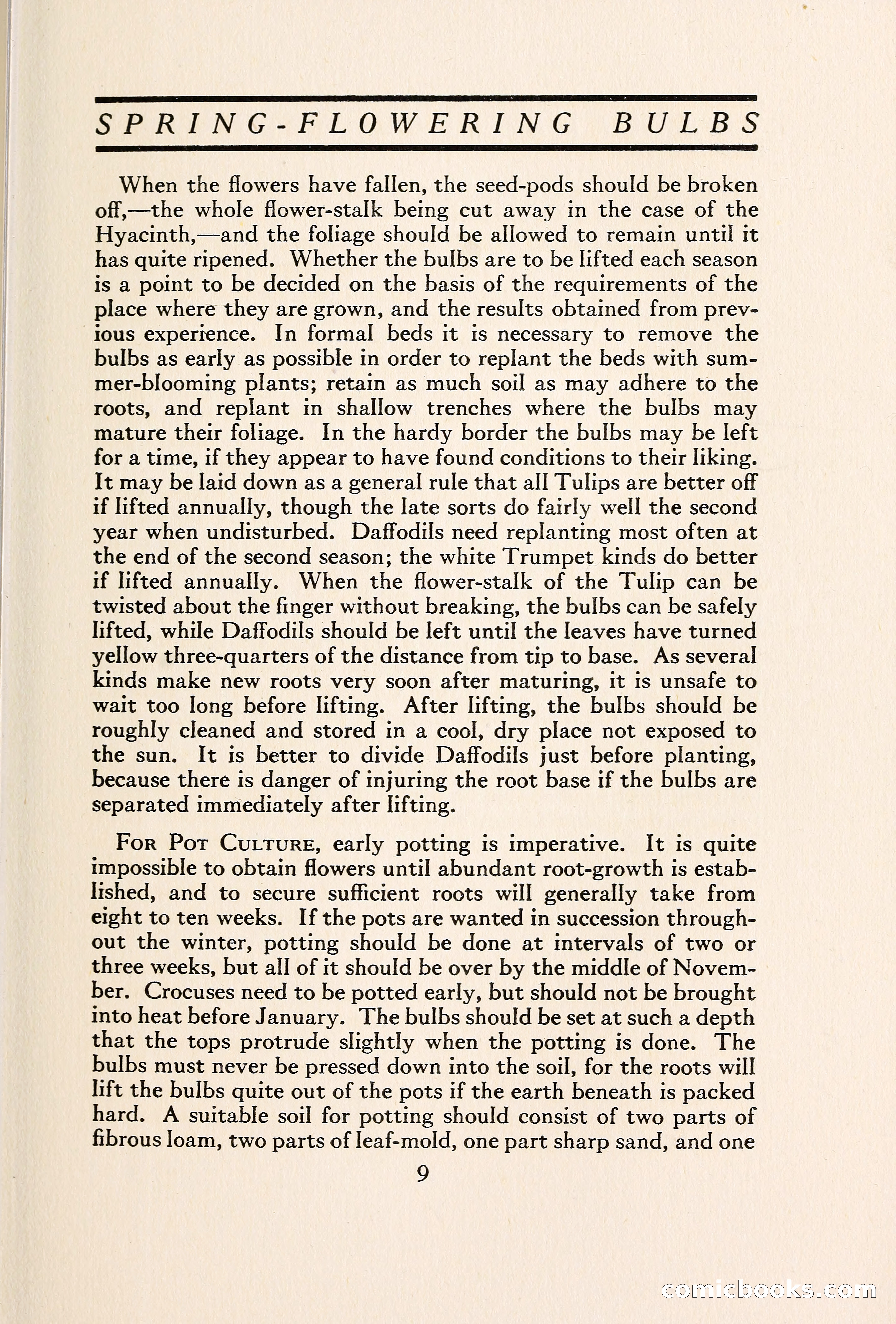 Blue Book of Bulbs — page 16 of 109