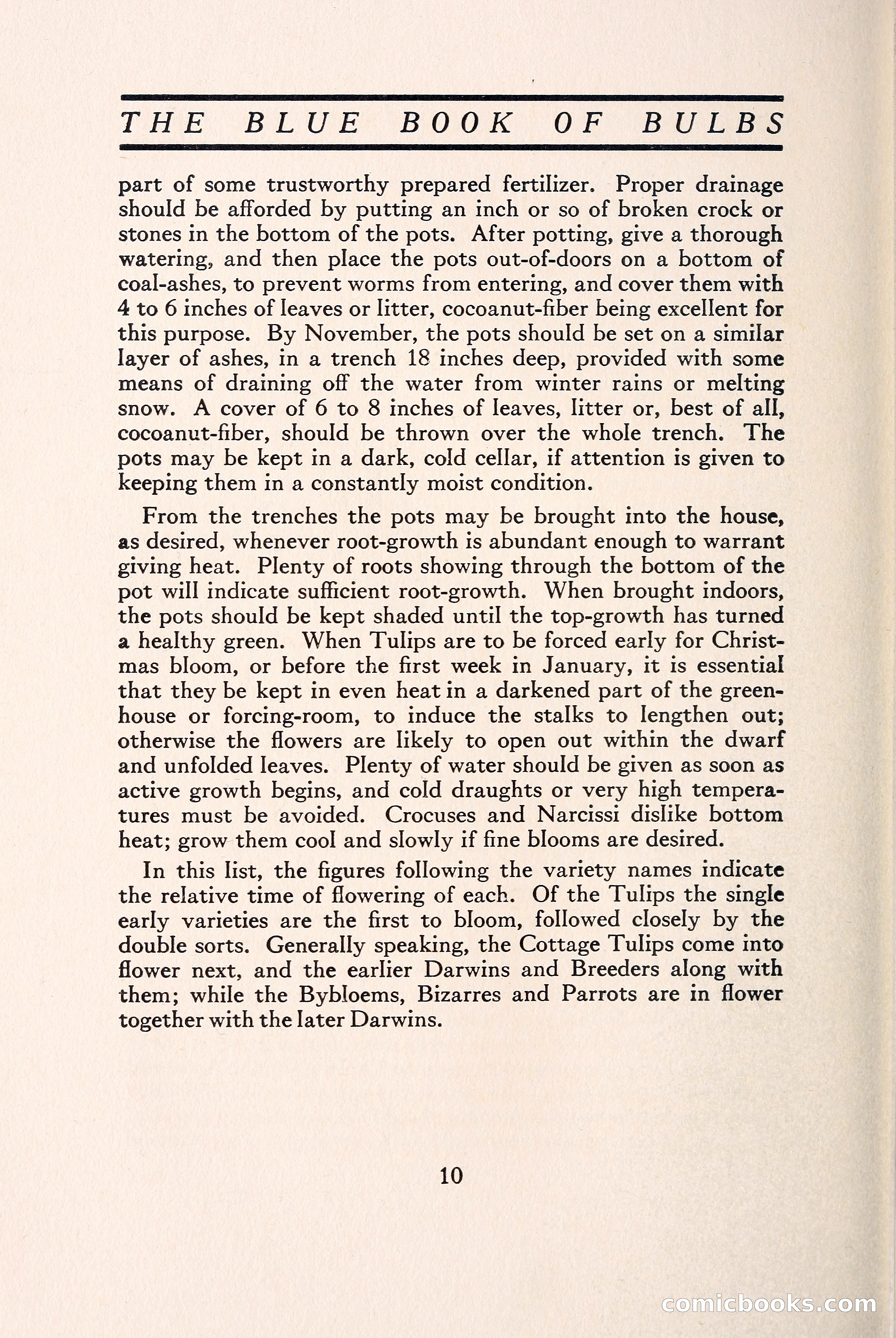Blue Book of Bulbs — page 17 of 109