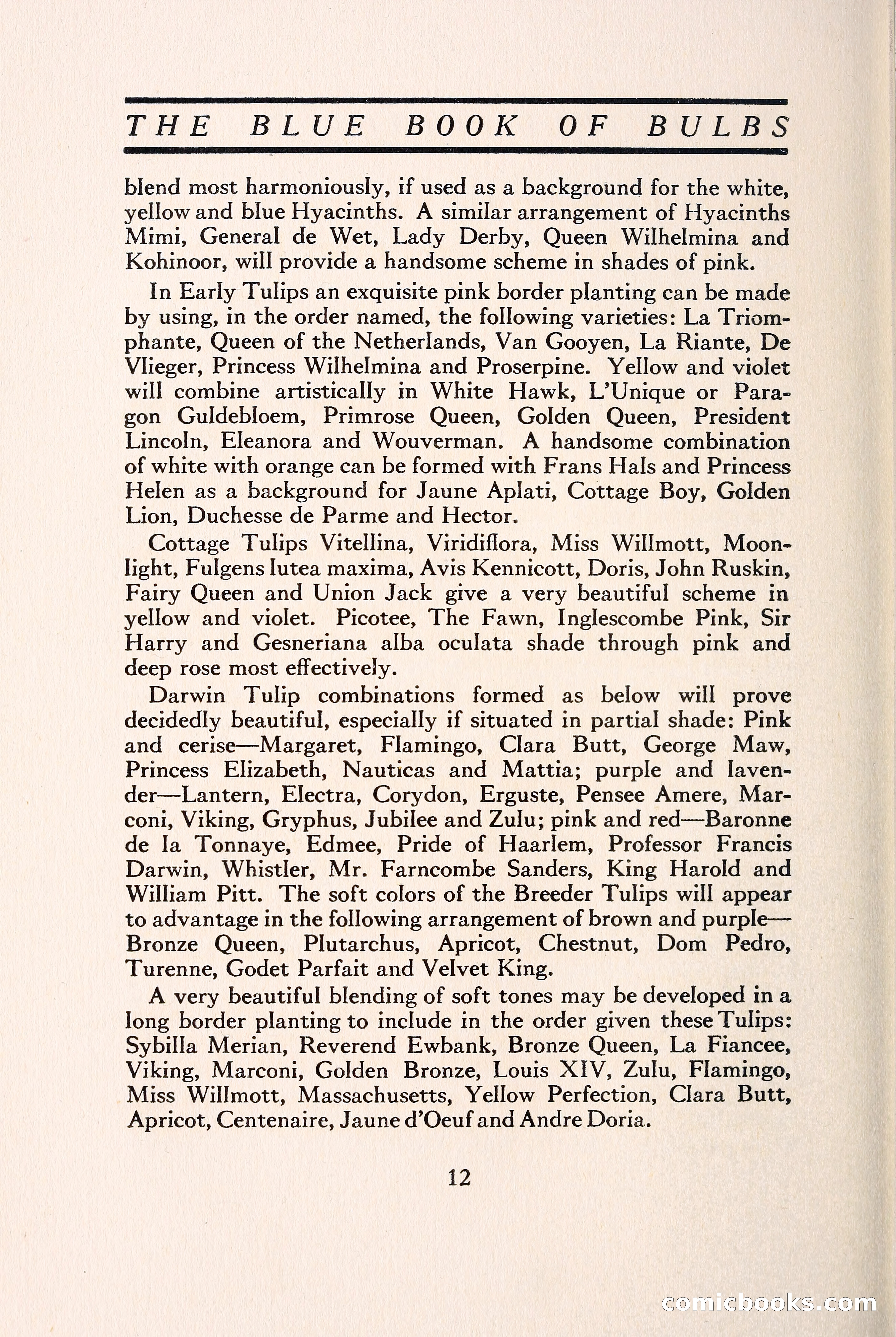Blue Book of Bulbs — page 19 of 109